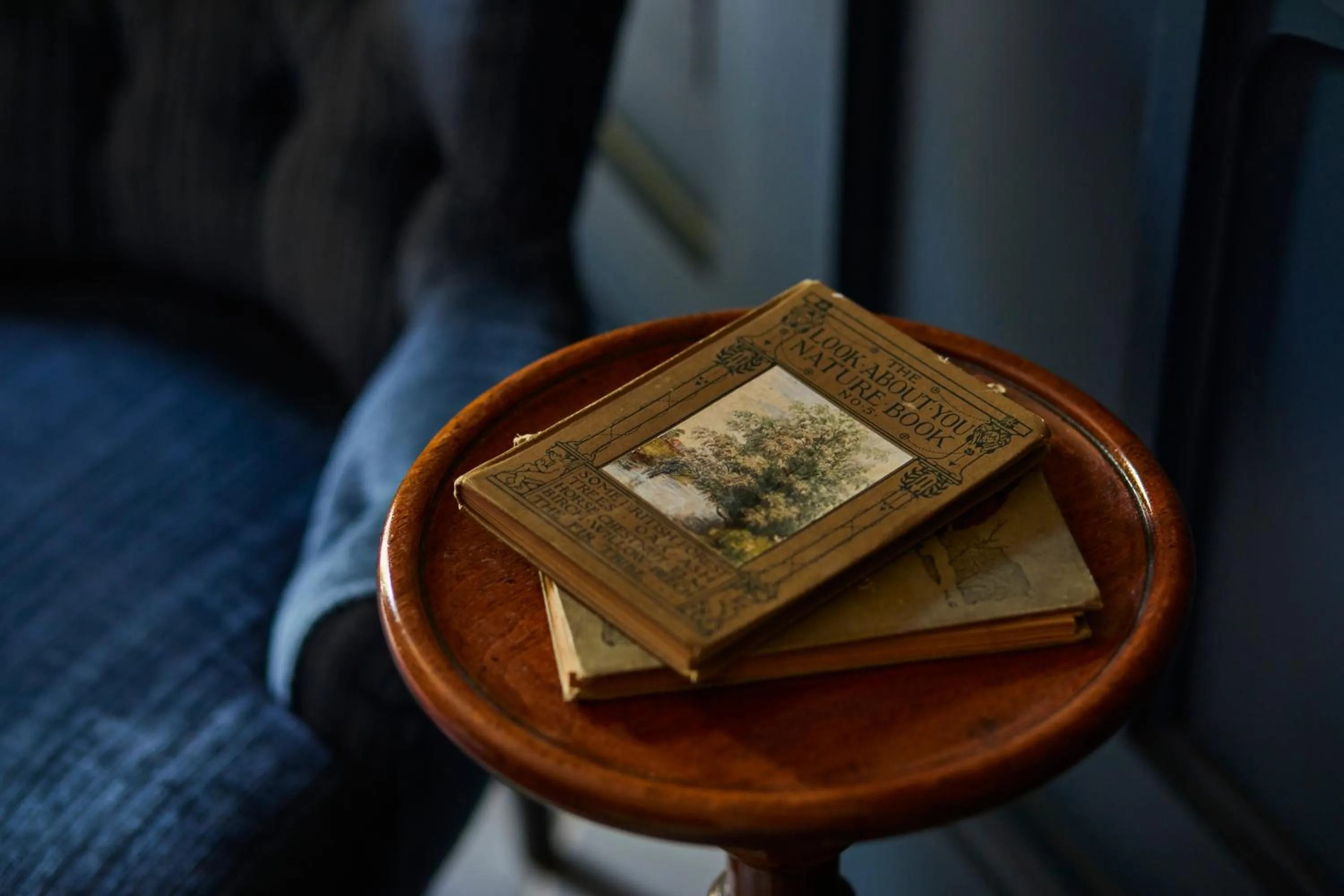 Decorative detail in Batty Langley's