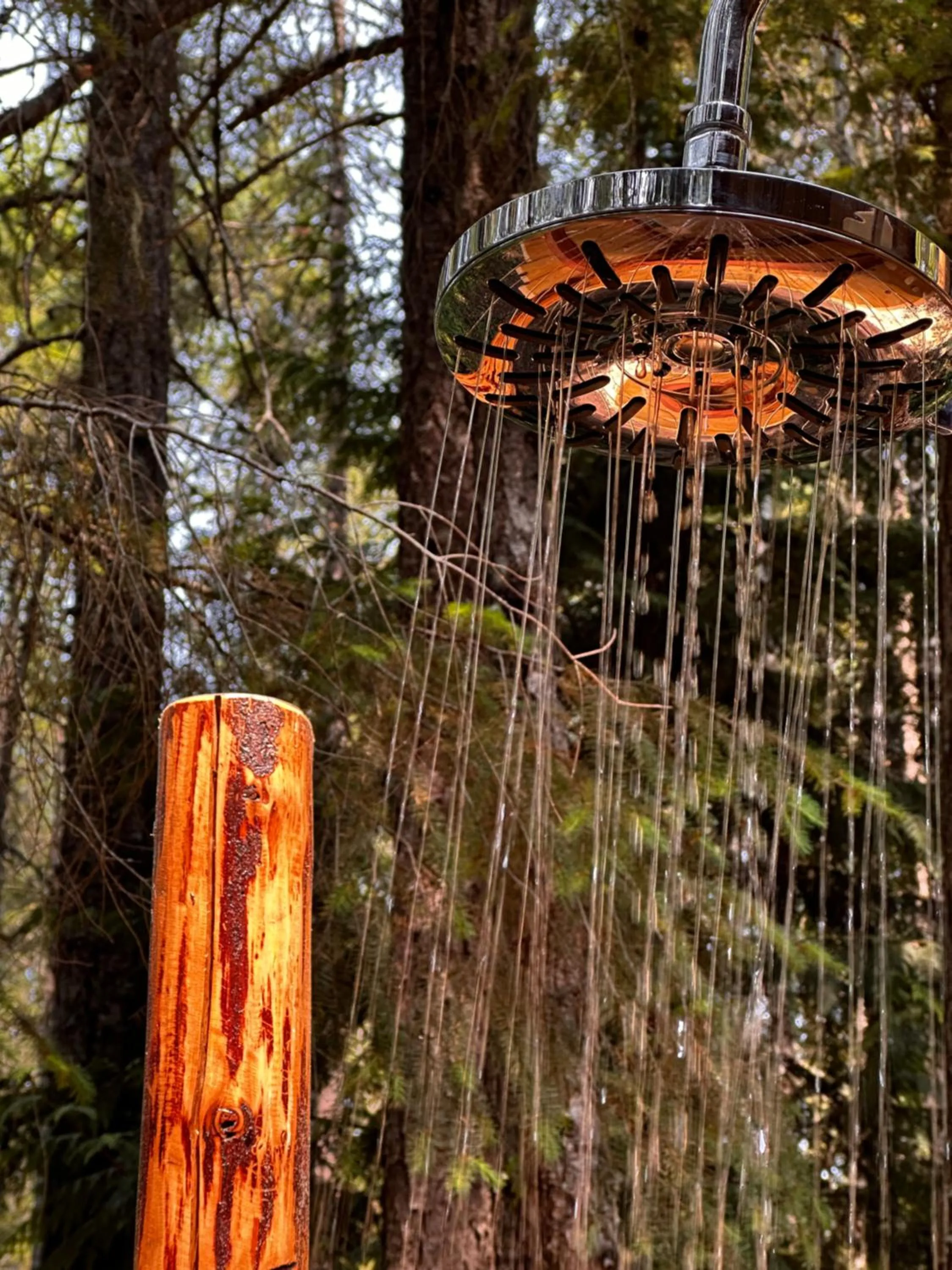 Property building in Cedar Song B&B