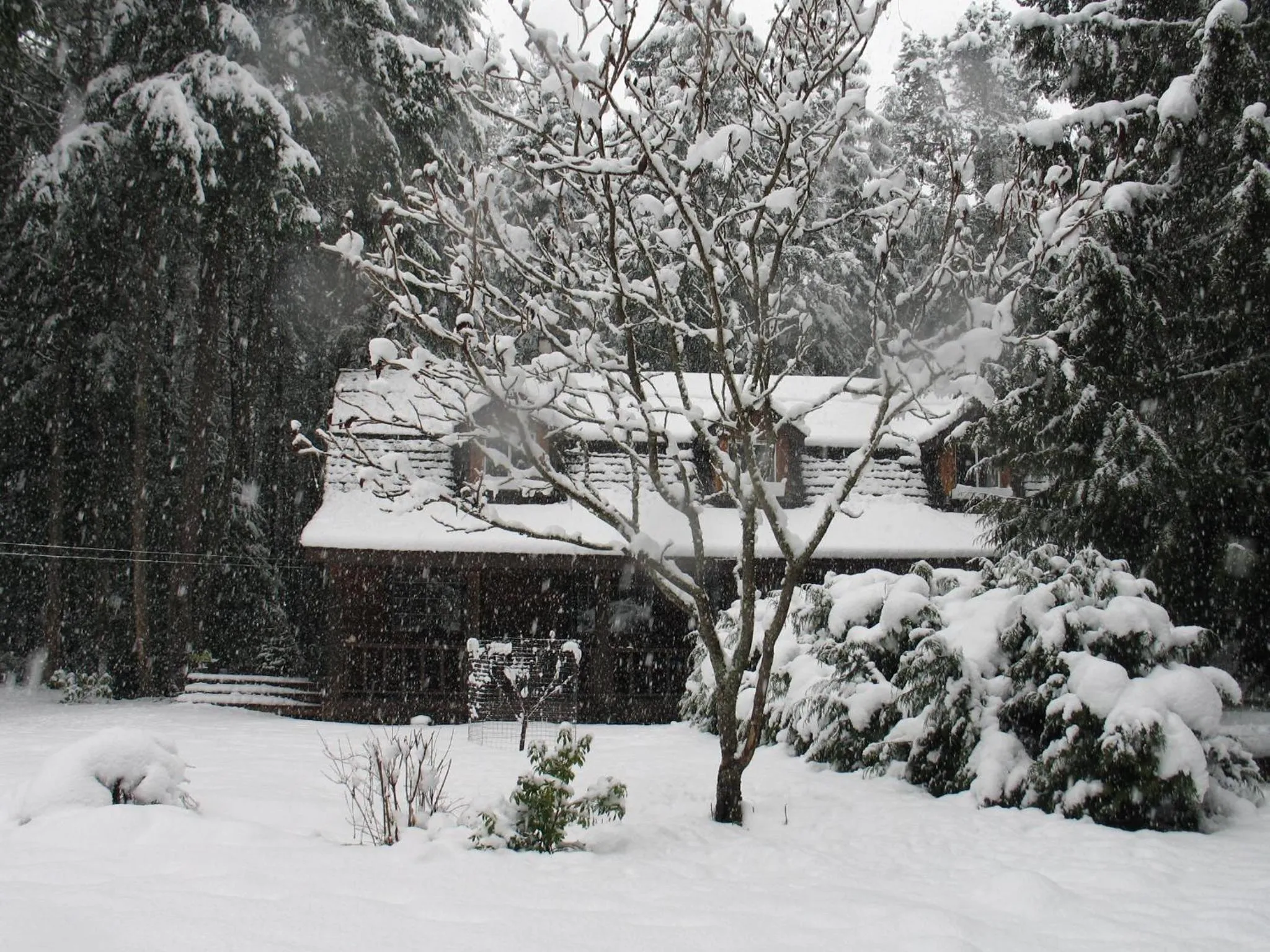 Property building in Cedar Song B&B