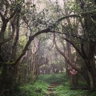 Other in The Robertson Hotel