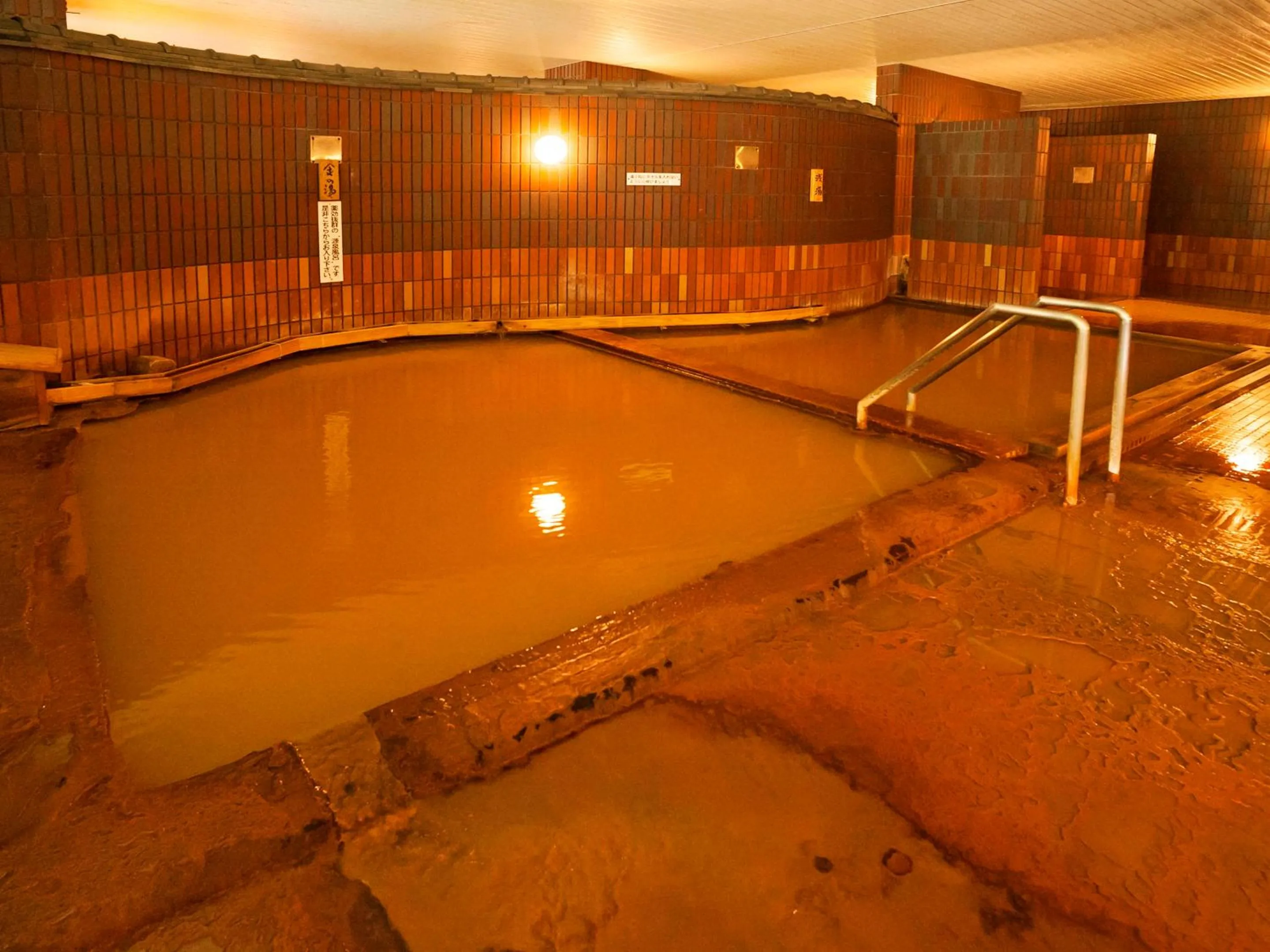 Hot Spring Bath in Seiryukaku