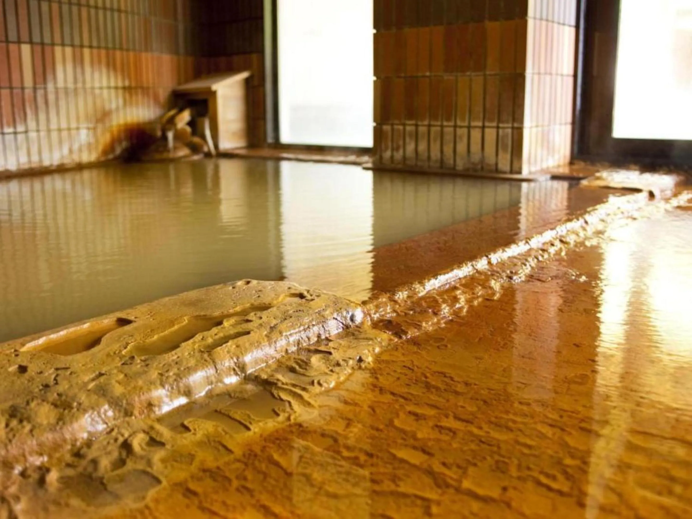 Hot Spring Bath in Seiryukaku