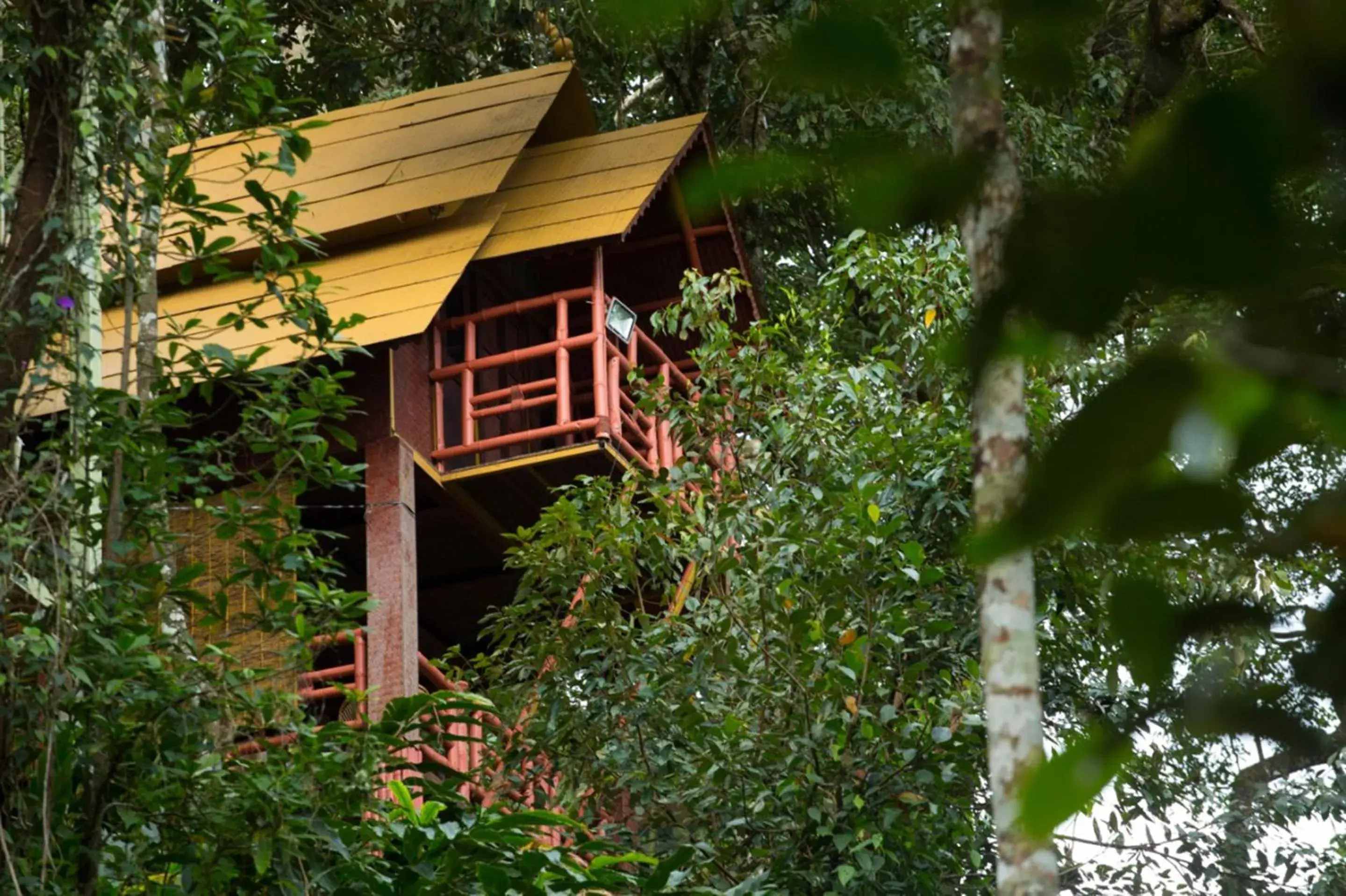 Property building in Bamboo Dale Resort & Spa Munnar by Stride Property building in Bamboo Dale Resort & Spa Munnar by Stride