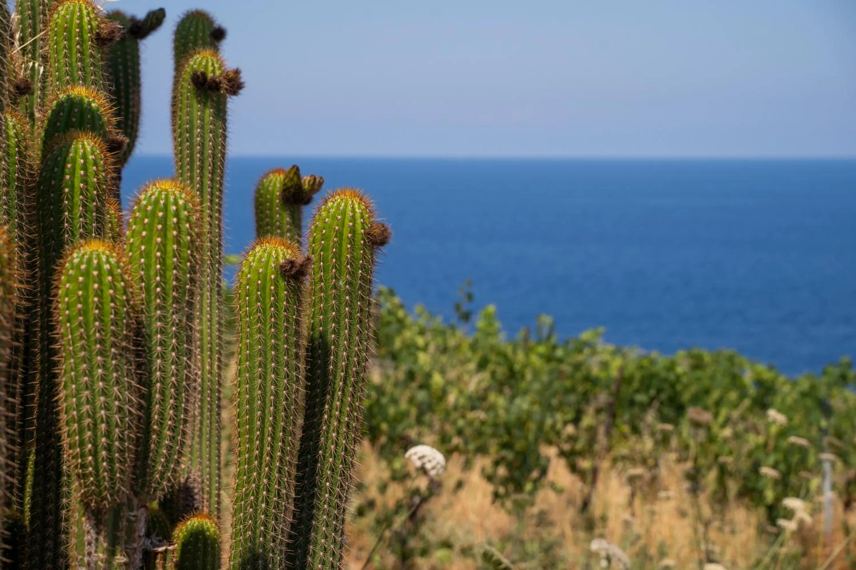 Garden in Borgo del Cannitello Romantic Boutique Resort