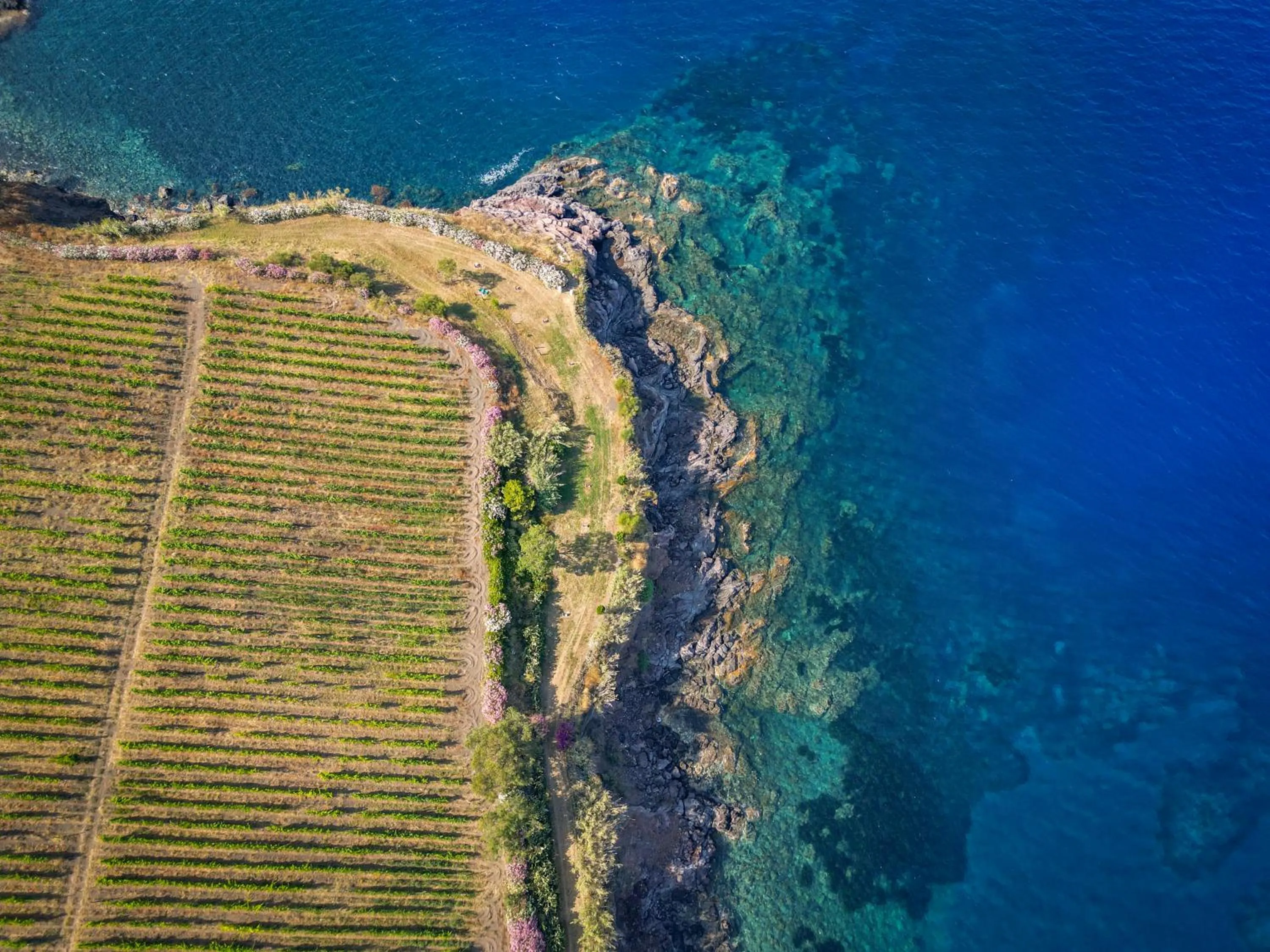 Bird's eye view in Borgo del Cannitello Romantic Boutique Resort