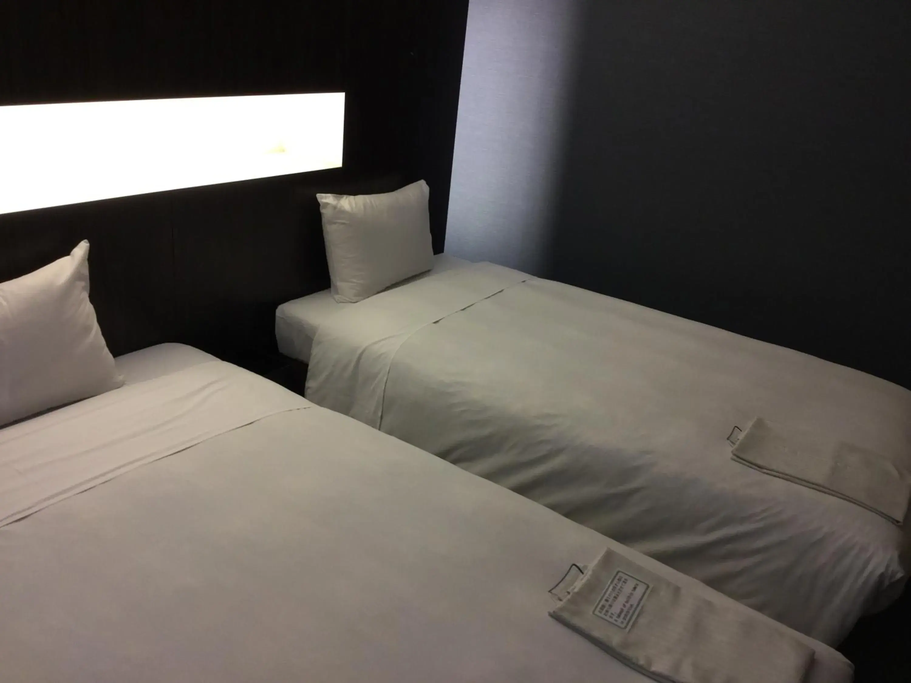 Bed in Palude Kushiro Bed in Palude Kushiro