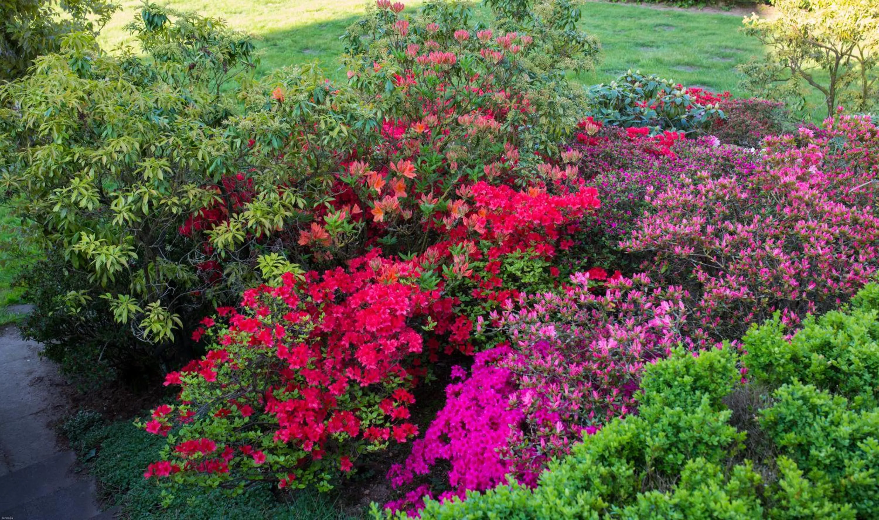 Garden in Hotel Restaurant Lütkebohmert
