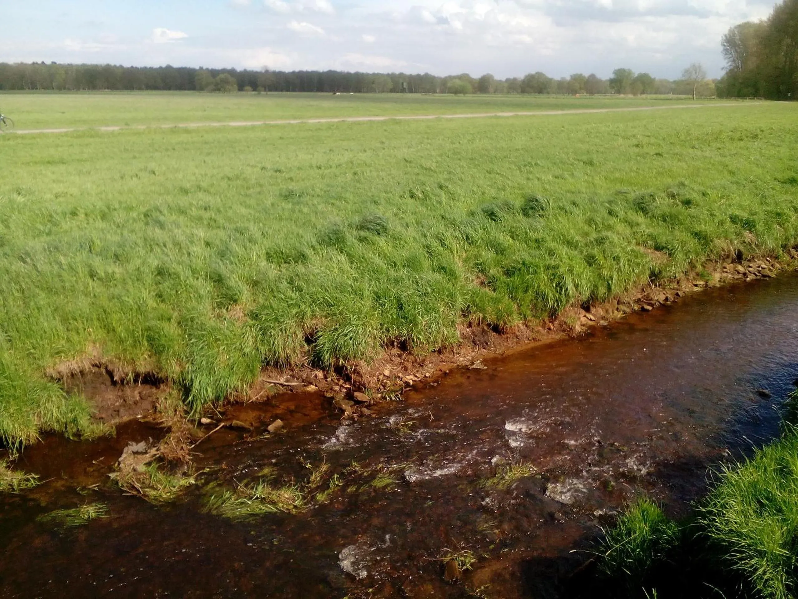 Natural landscape in Hotel Restaurant Lütkebohmert