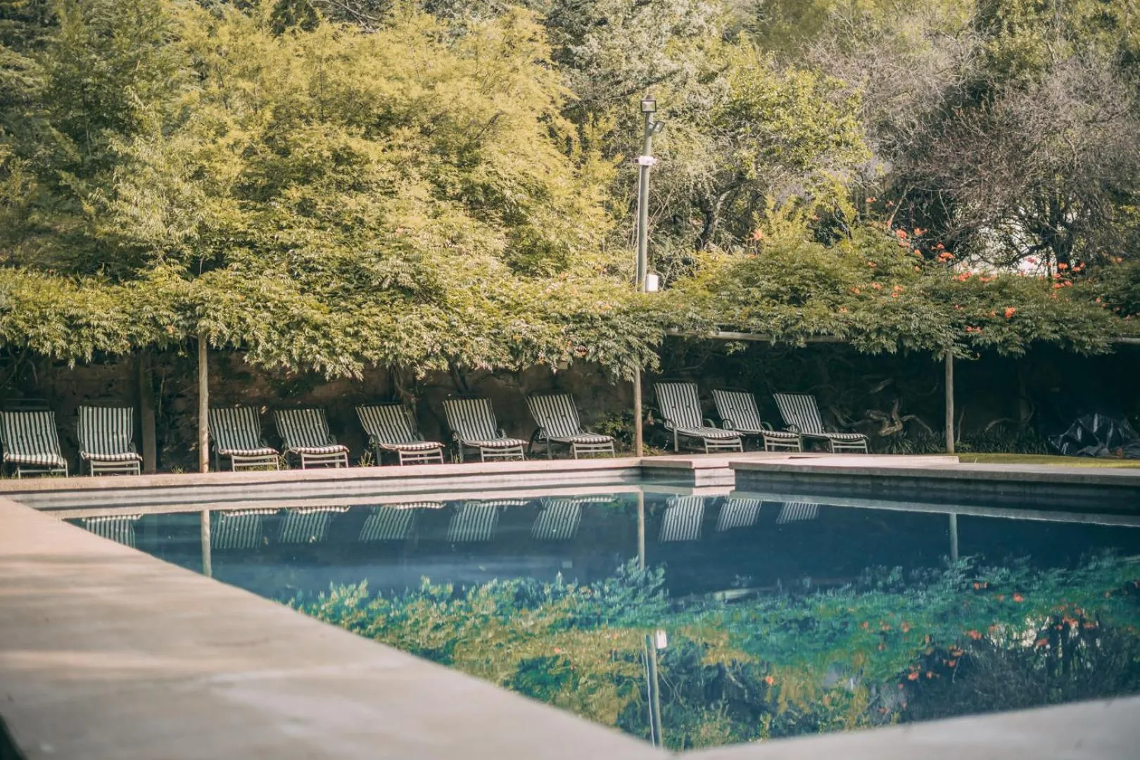Pool view in Wyndford Holiday Farm