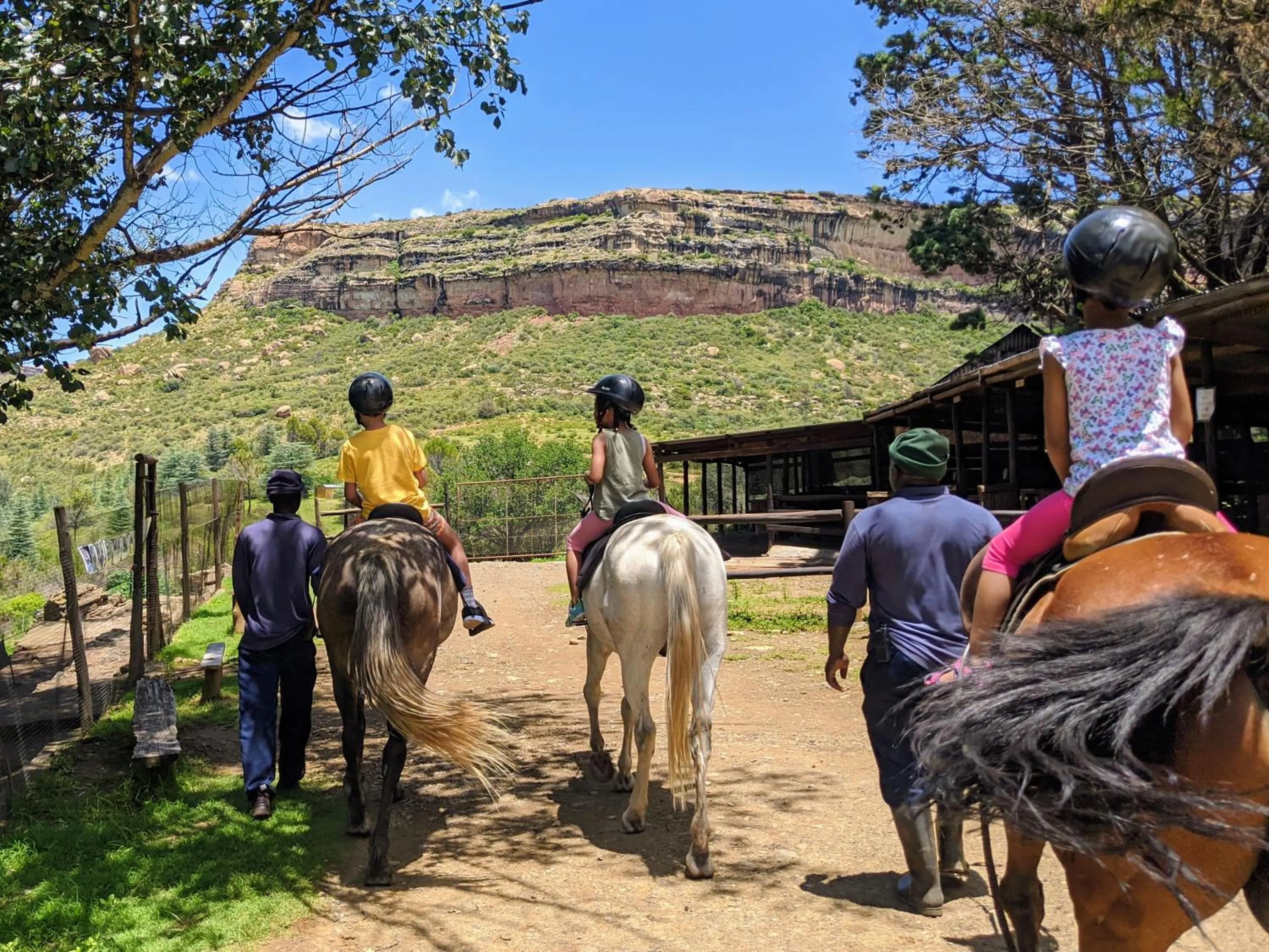 Horse-riding in Wyndford Holiday Farm