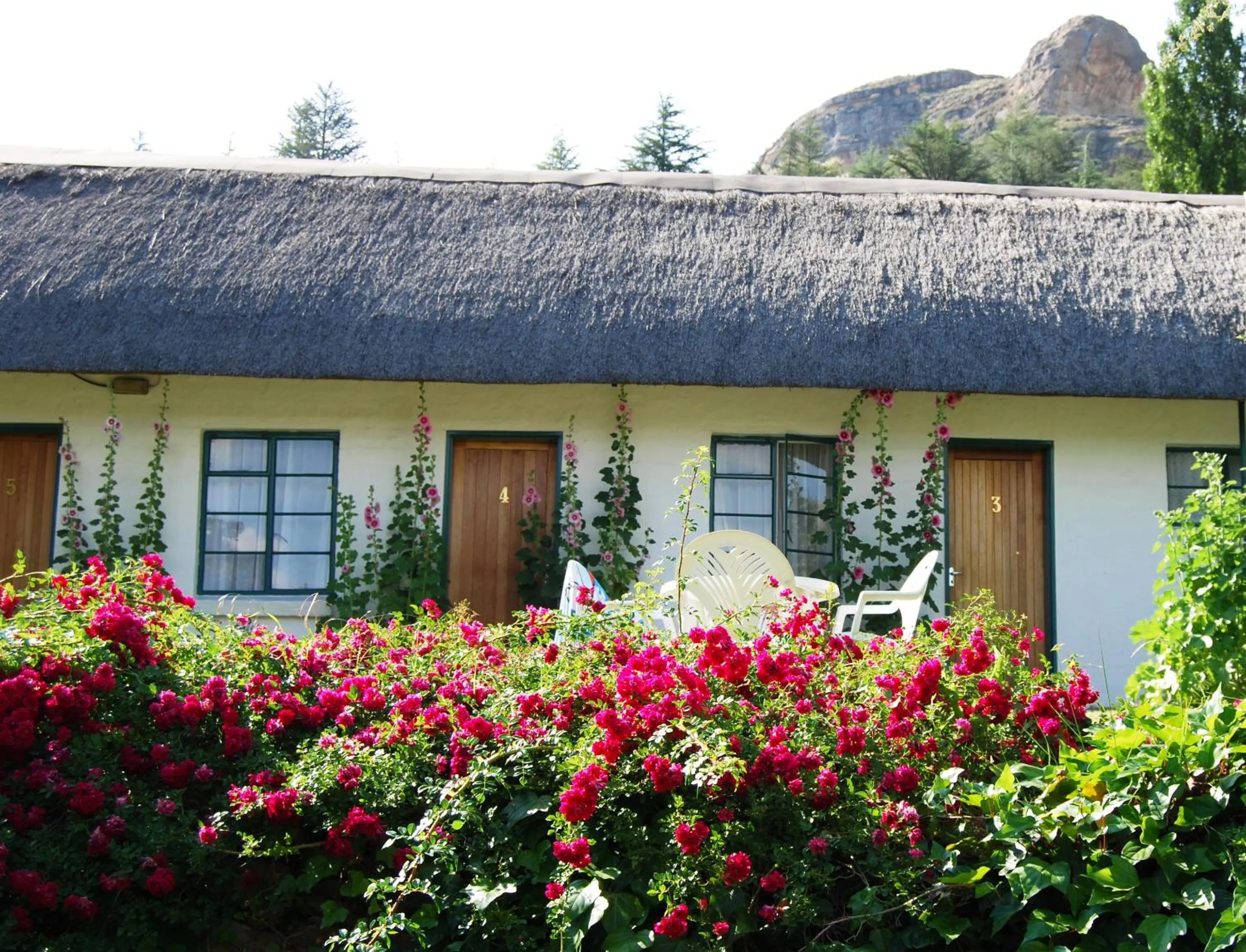 Garden view in Wyndford Holiday Farm