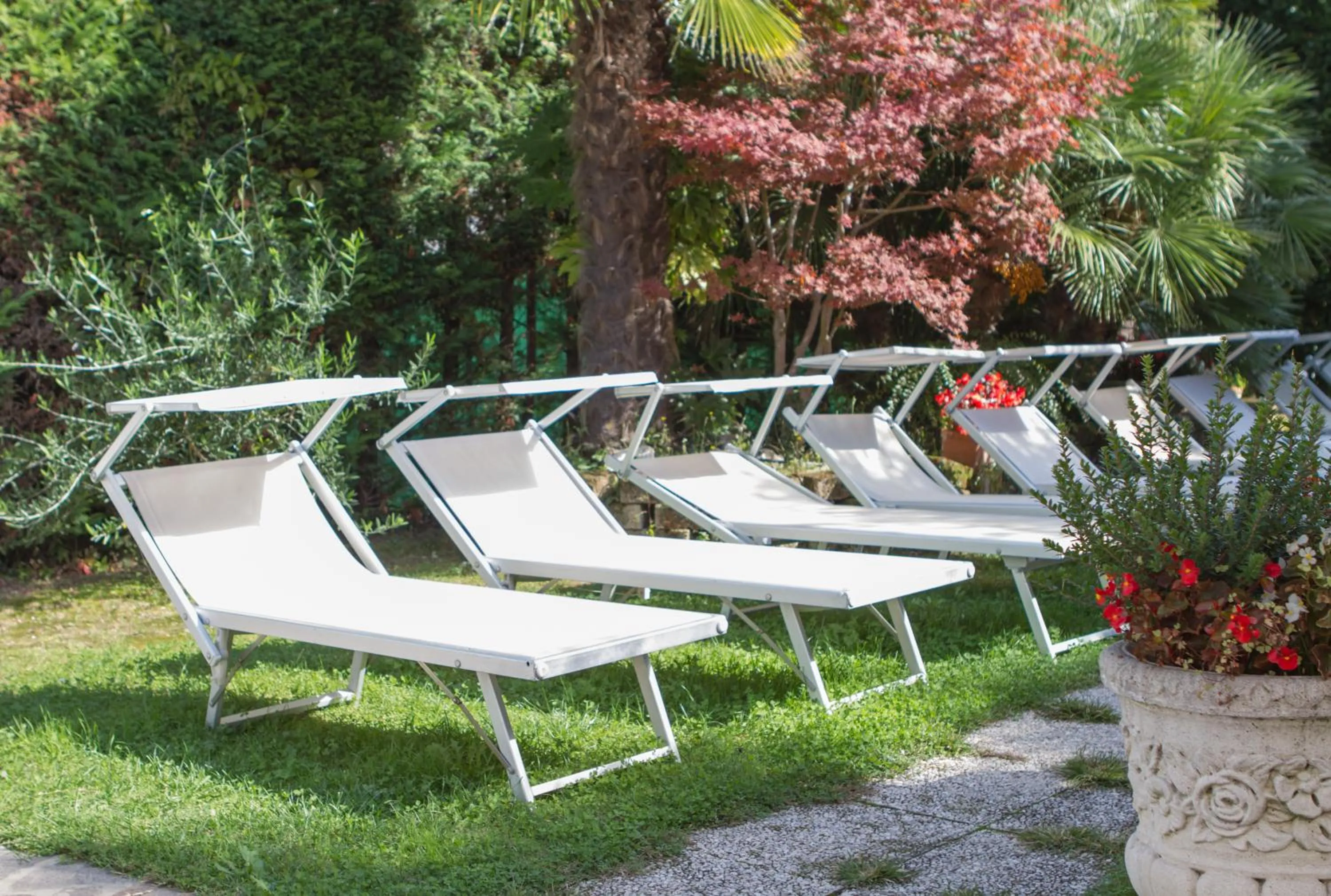 Garden in Hotel Terme Principe