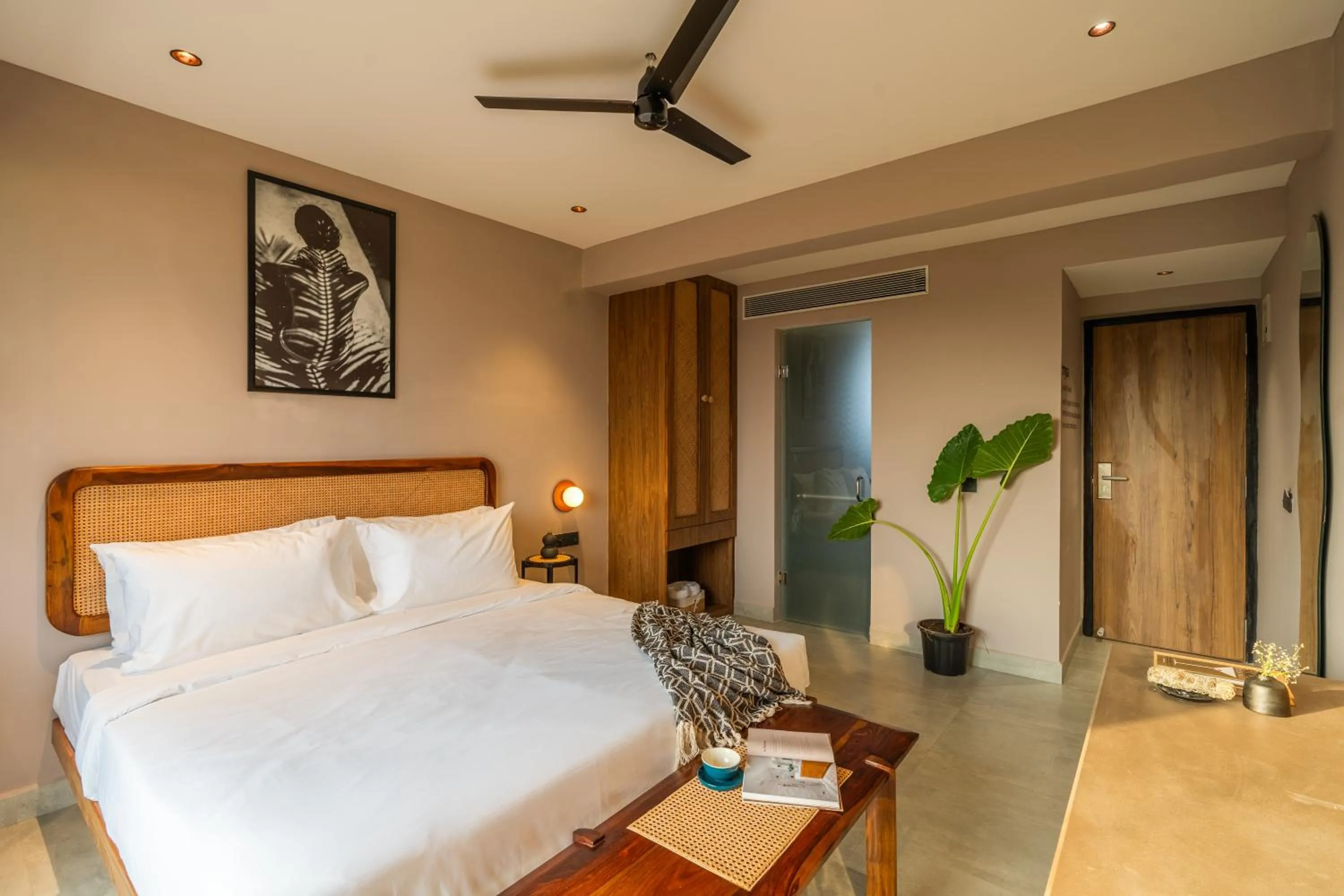 Photo of the whole room in Minimalist Panjim