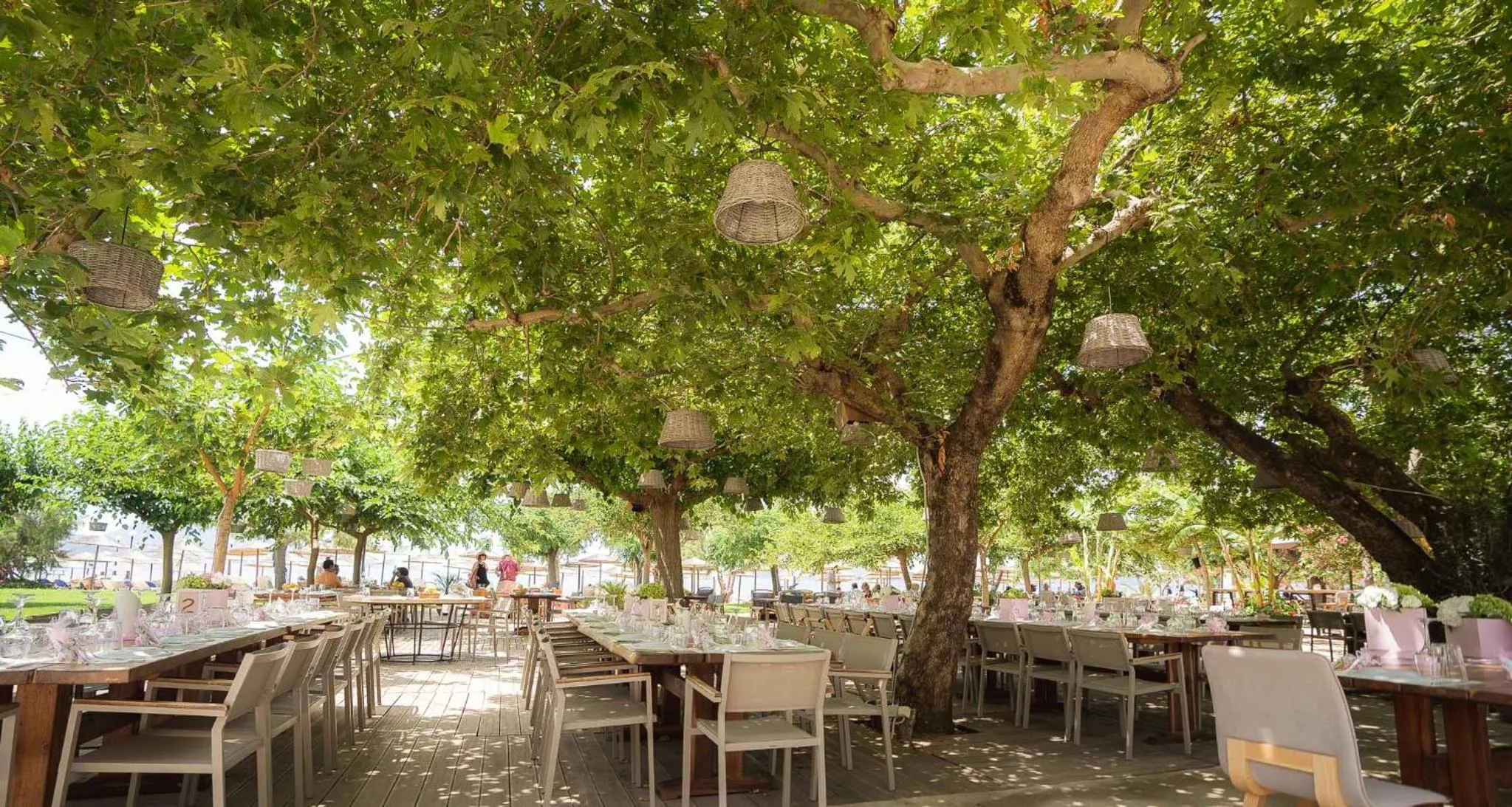 Restaurant/places to eat in Zoe Seaside Resort