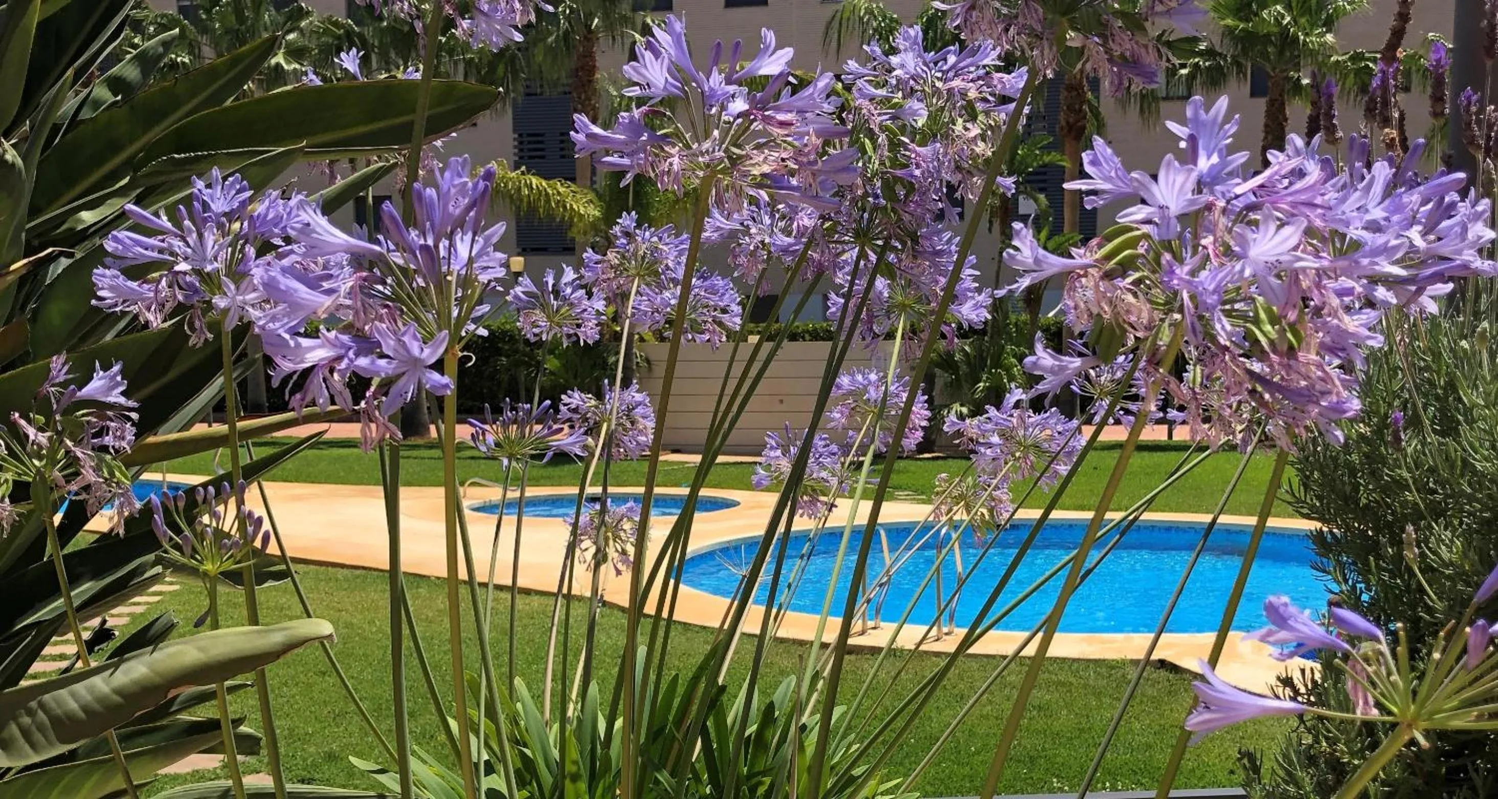 Garden in Apartment De Jardines