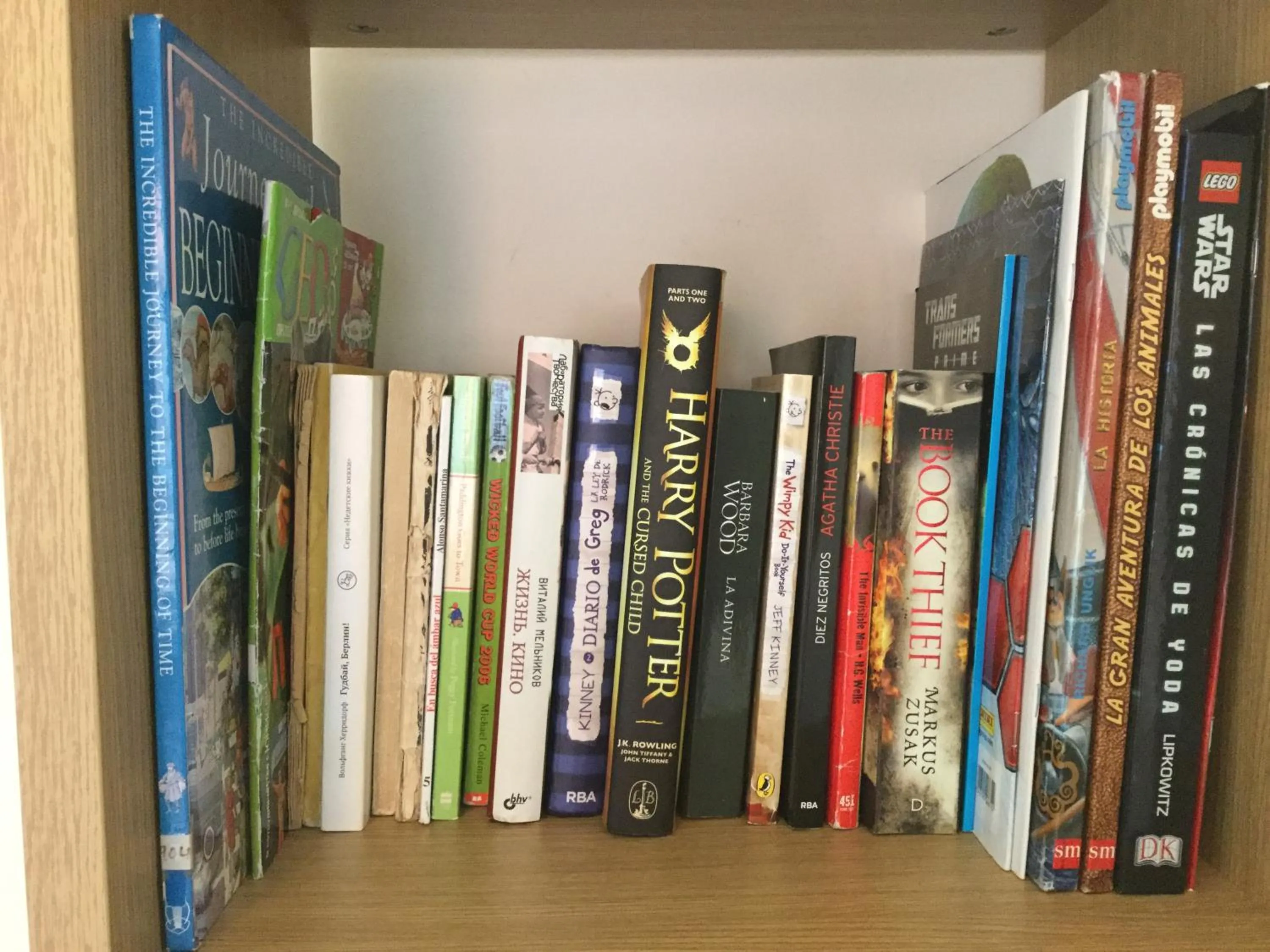 Library in Apartment De Jardines