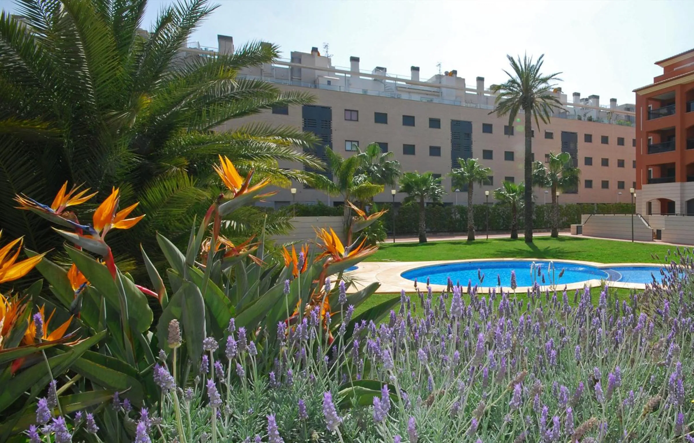 Garden in Apartment De Jardines