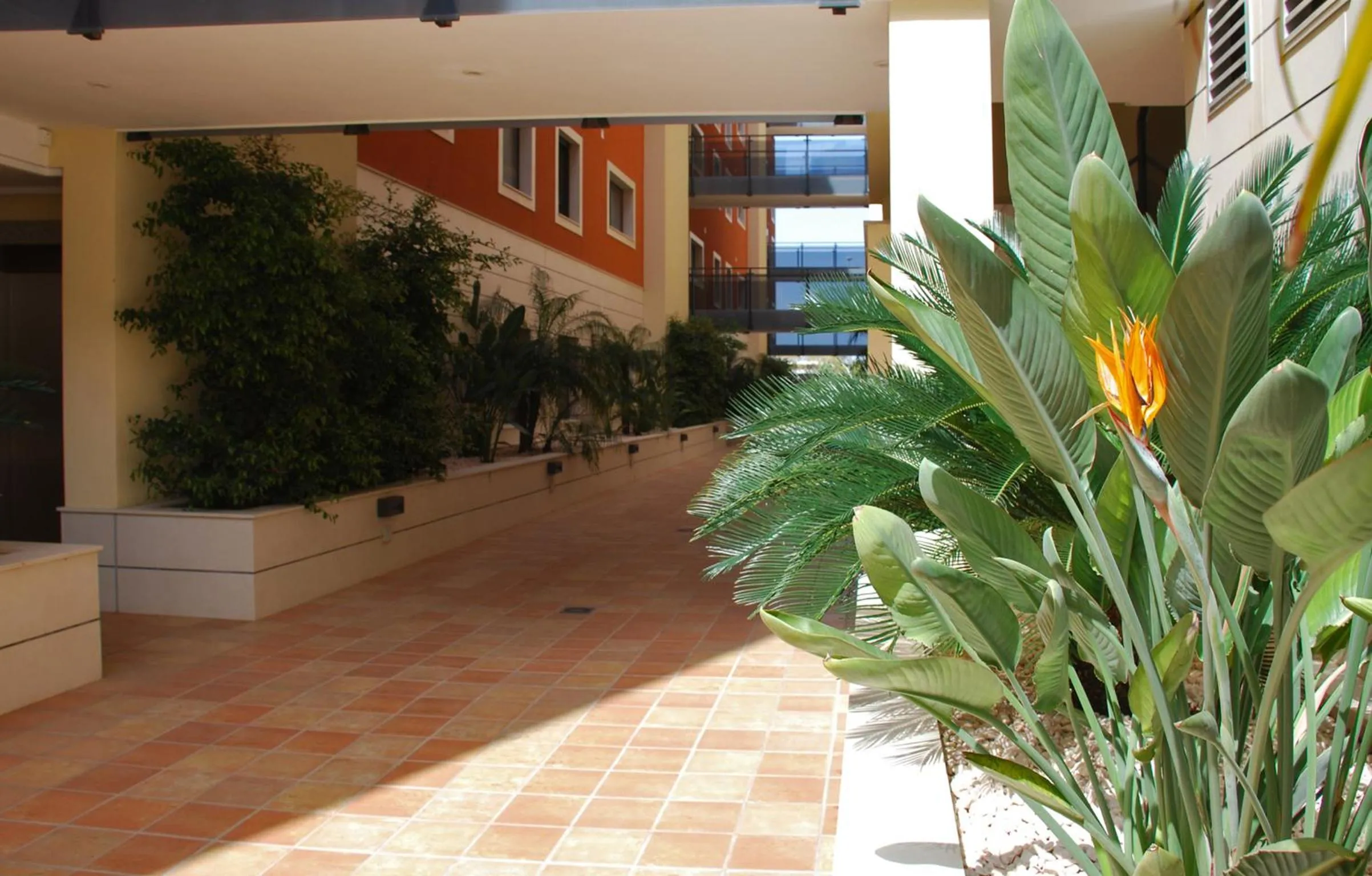 Garden in Apartment De Jardines