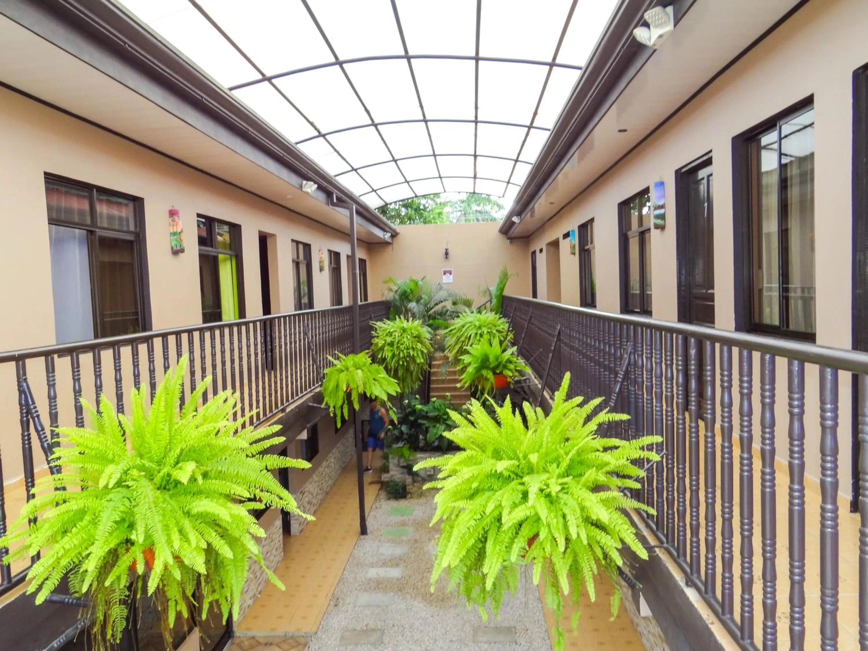 Balcony/Terrace in HOTEL DEL RiO