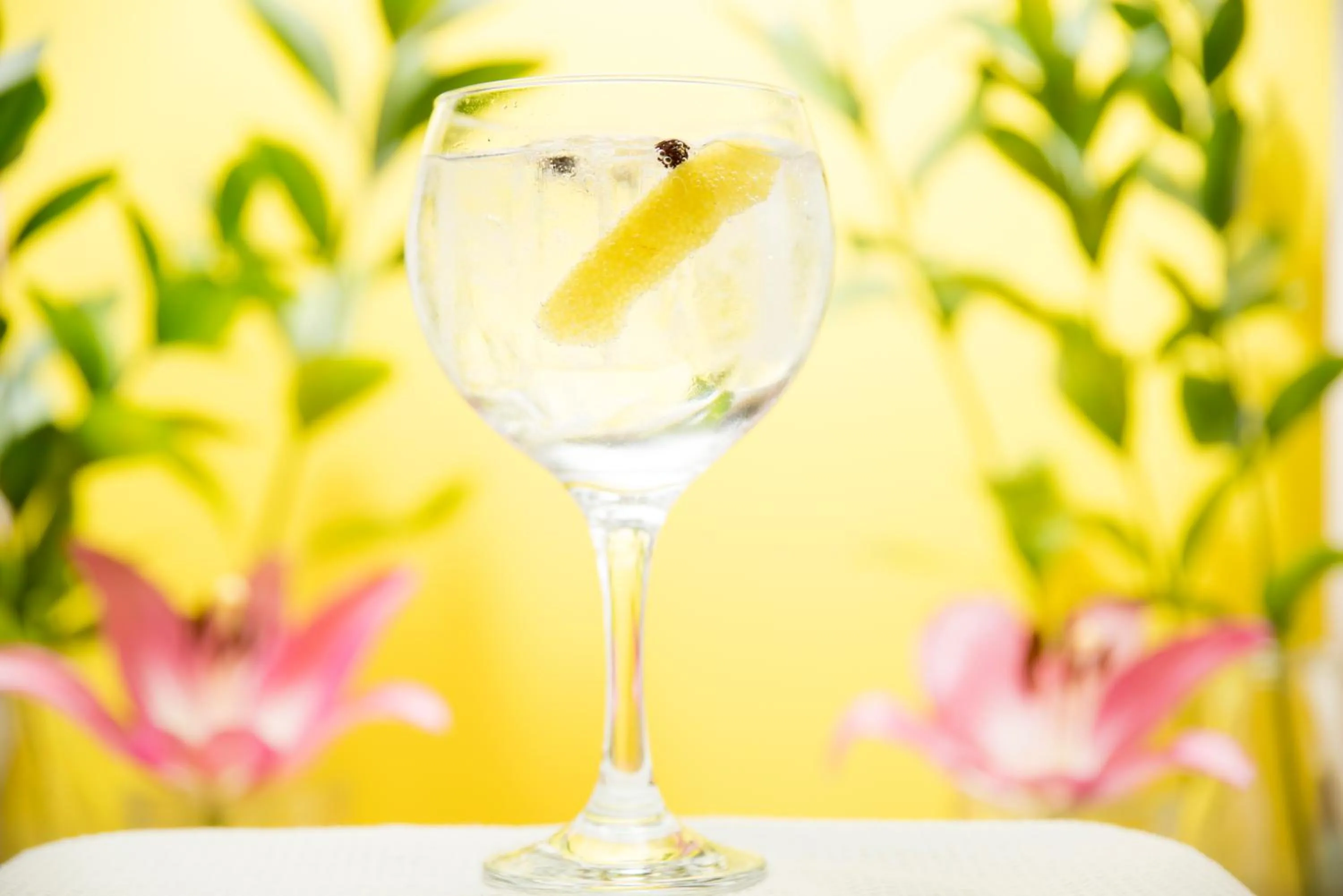 Food and drinks in Hotel Sauce