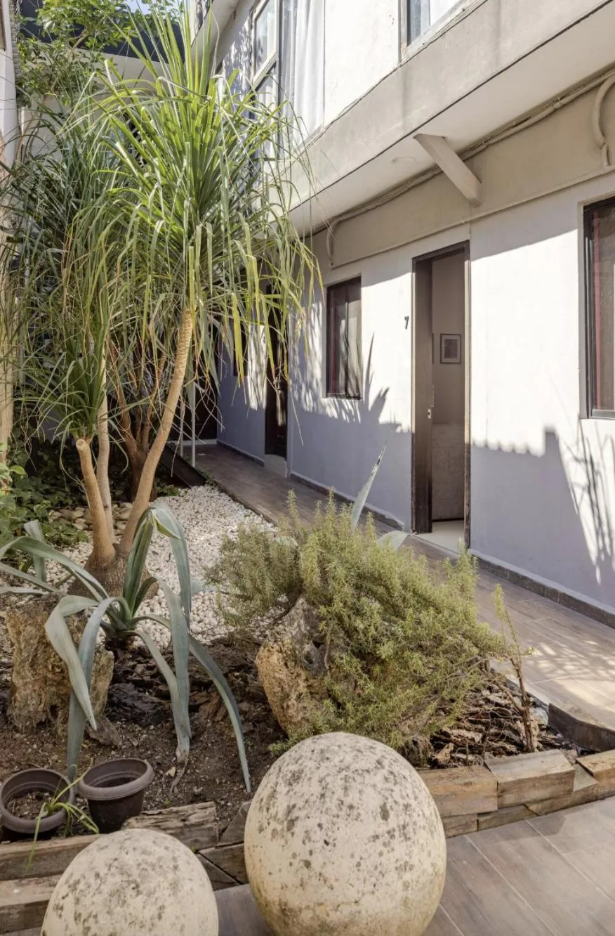 Garden in Adhoc Boutique Barrio Antiguo