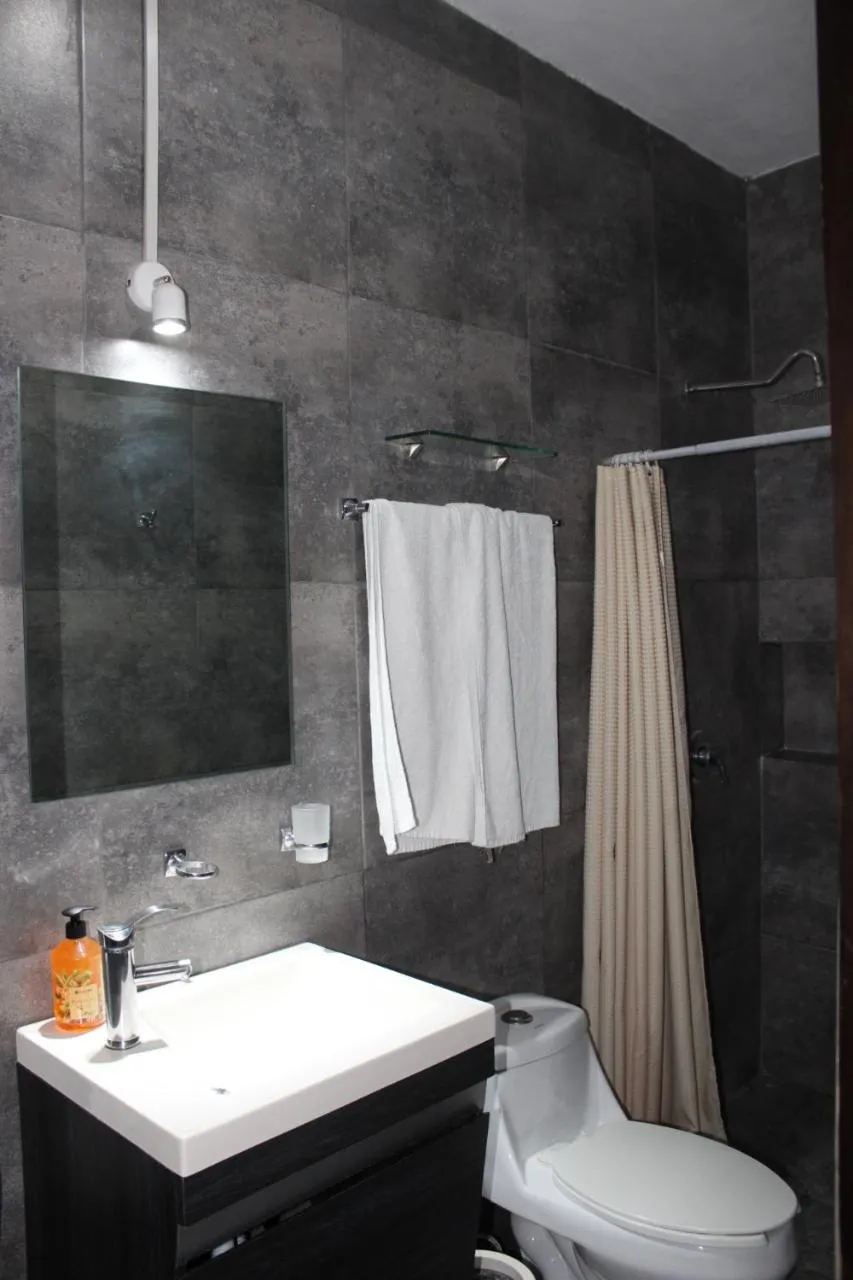 Toilet in Adhoc Boutique Barrio Antiguo