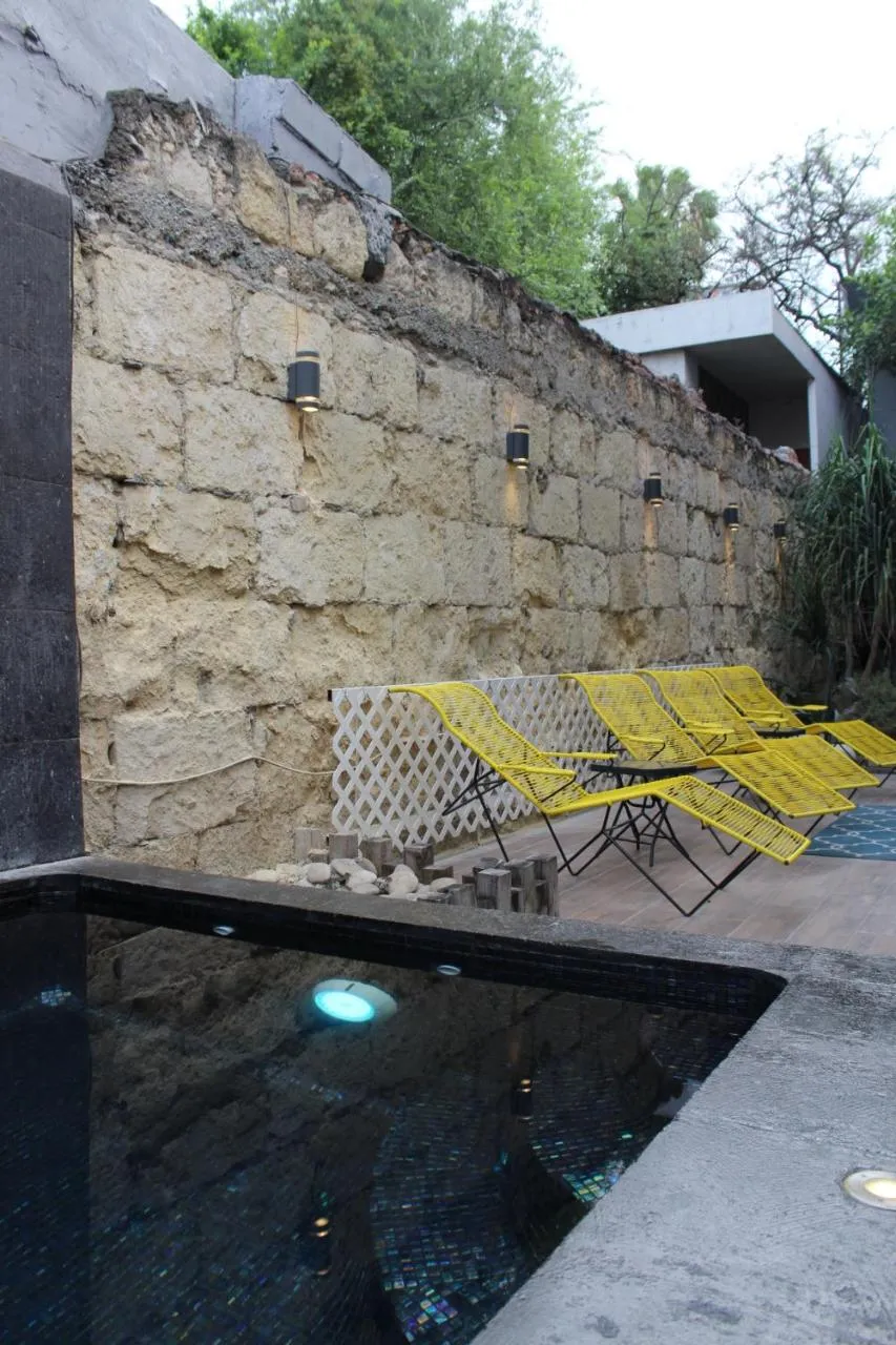 Garden view in Adhoc Boutique Barrio Antiguo