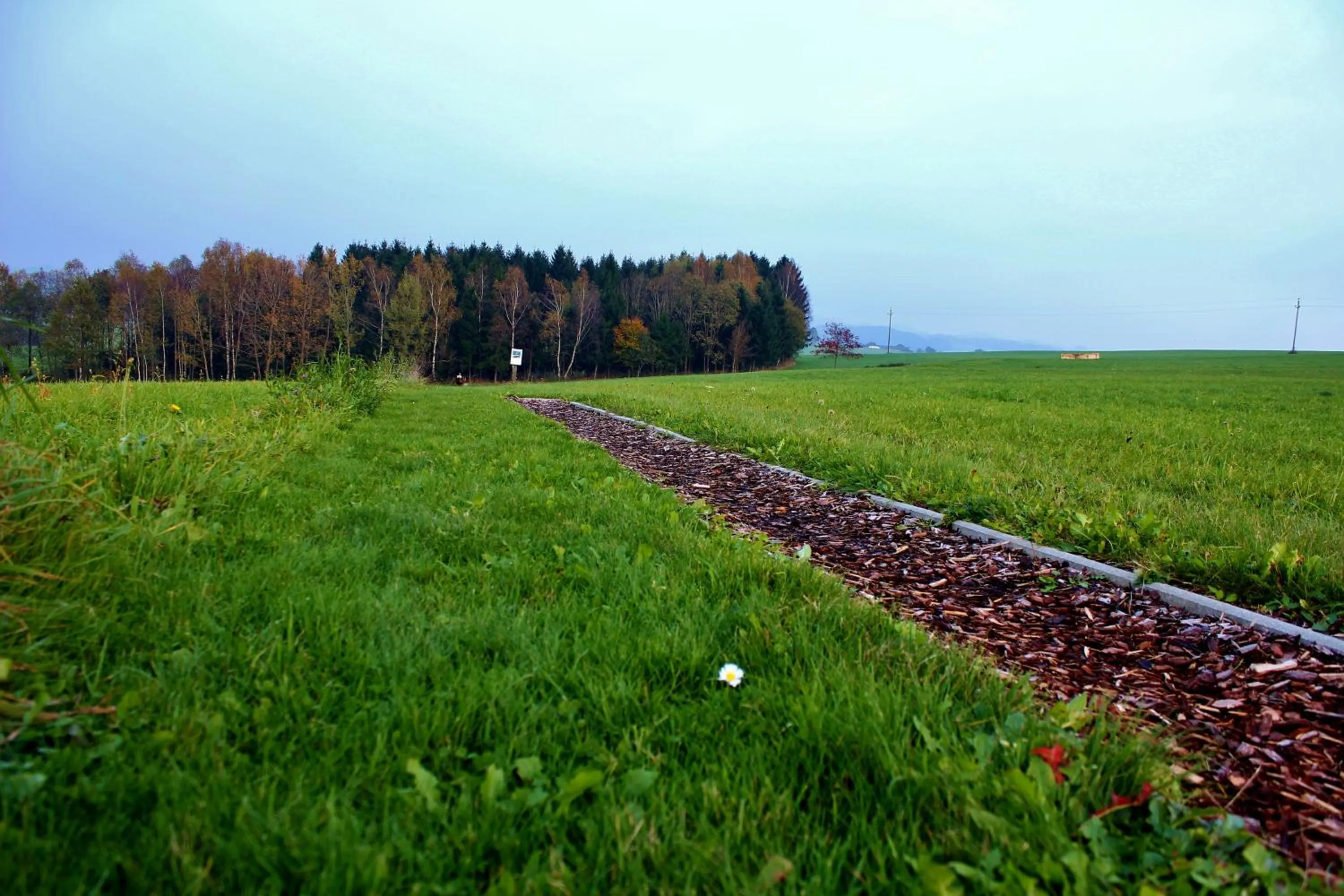 Activities in Langs Wirtshaus