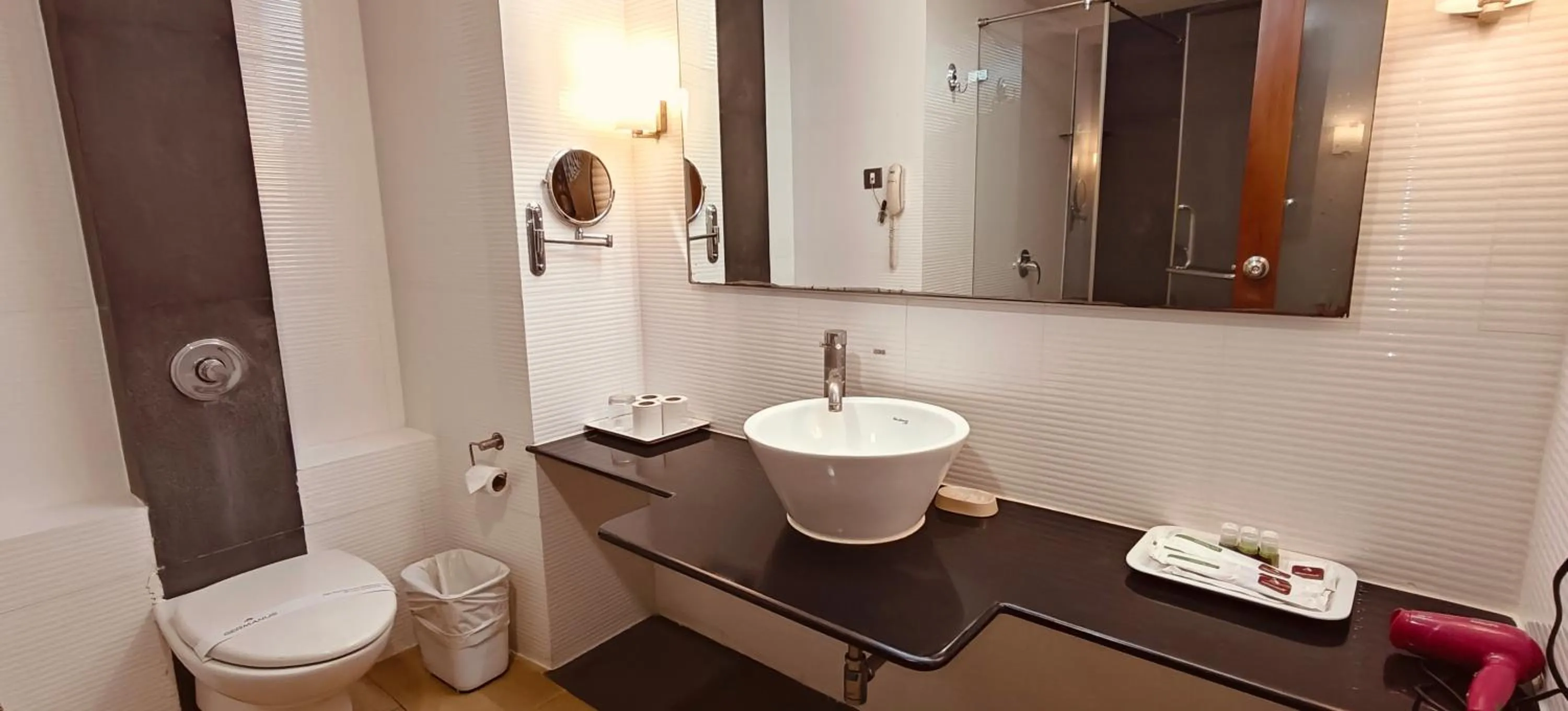 Toilet in Hotel Ger manus Madurai
