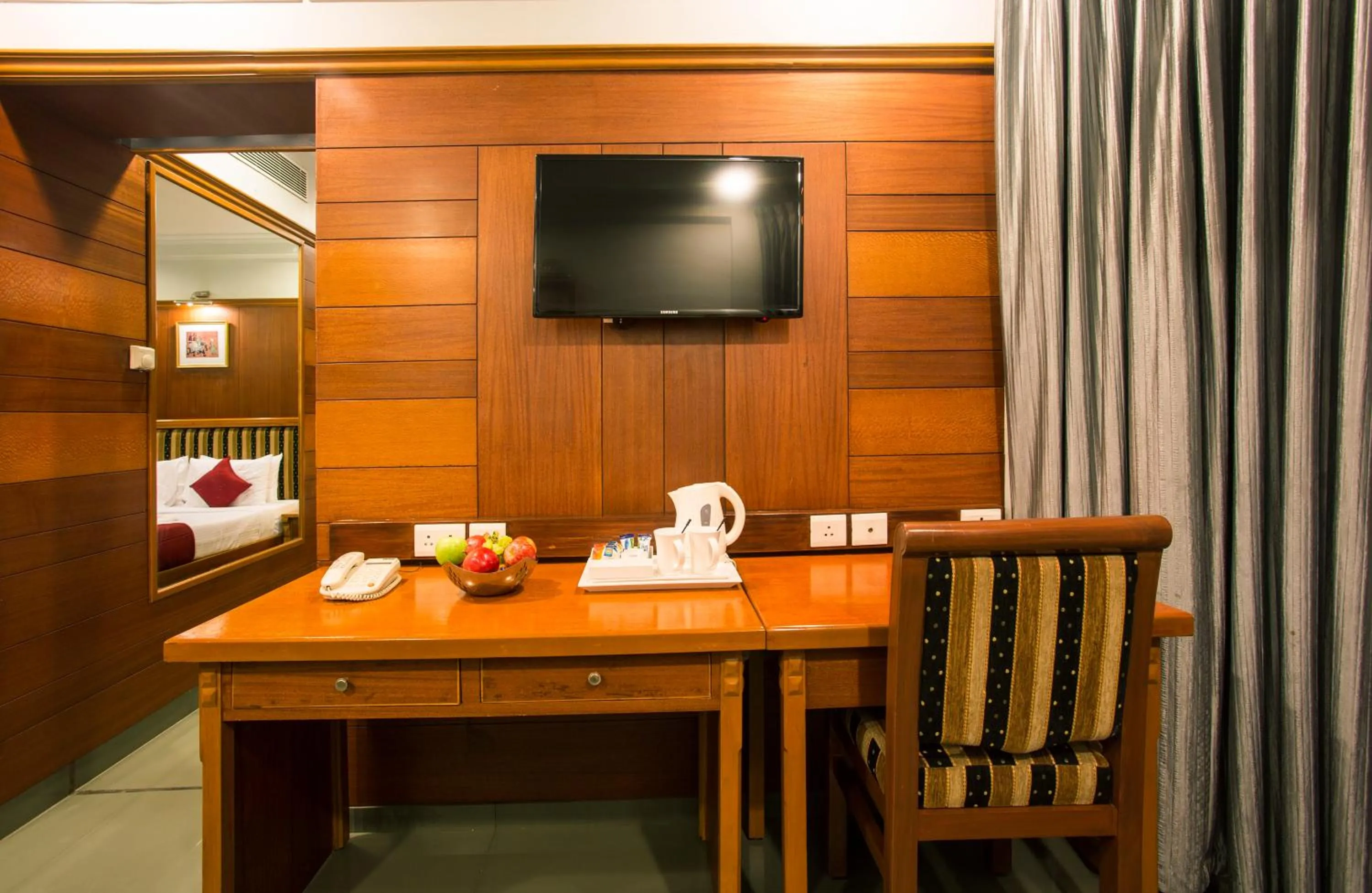 TV and multimedia in Hotel Ger manus Madurai