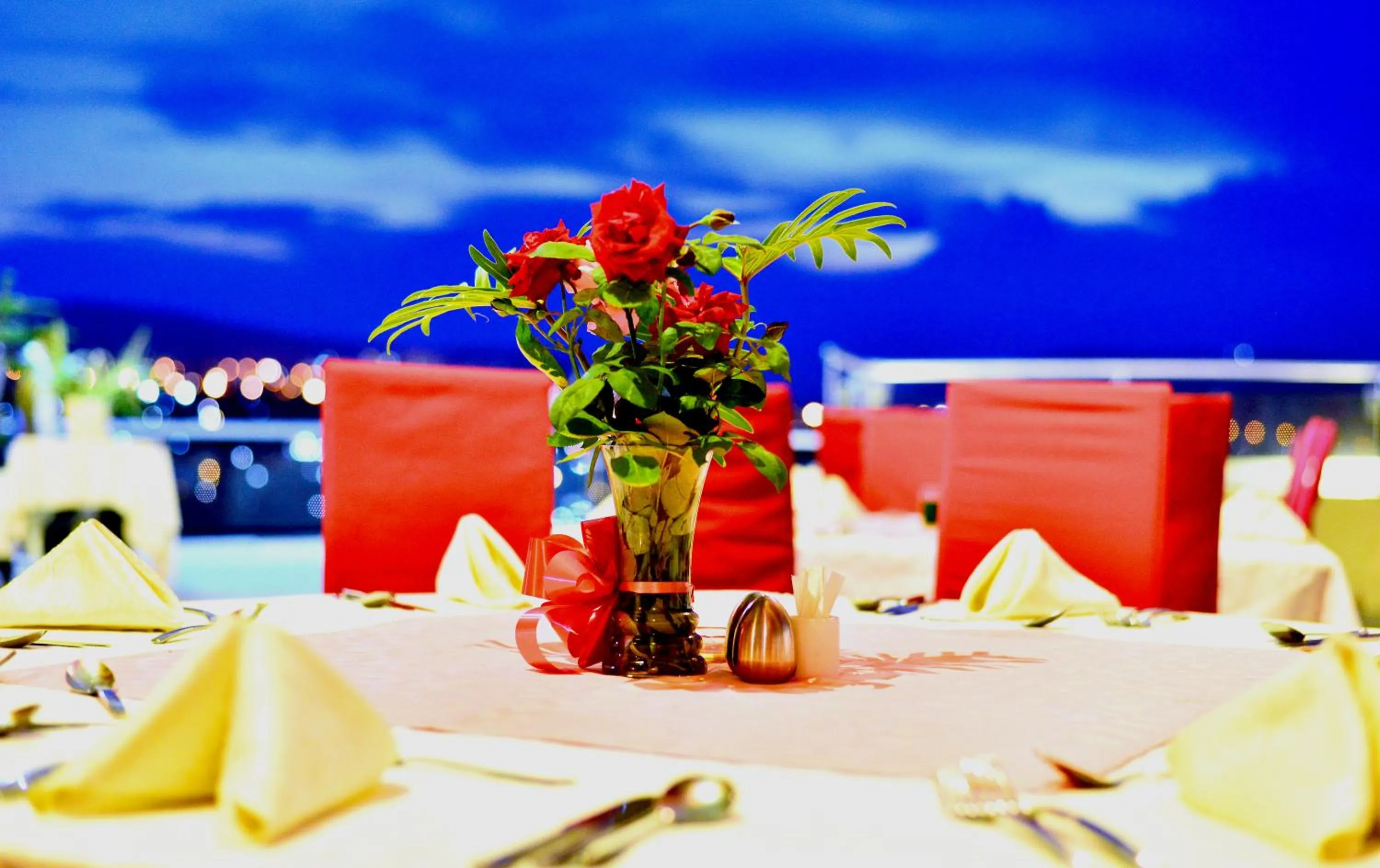 Bird's eye view in The Manor Hotel