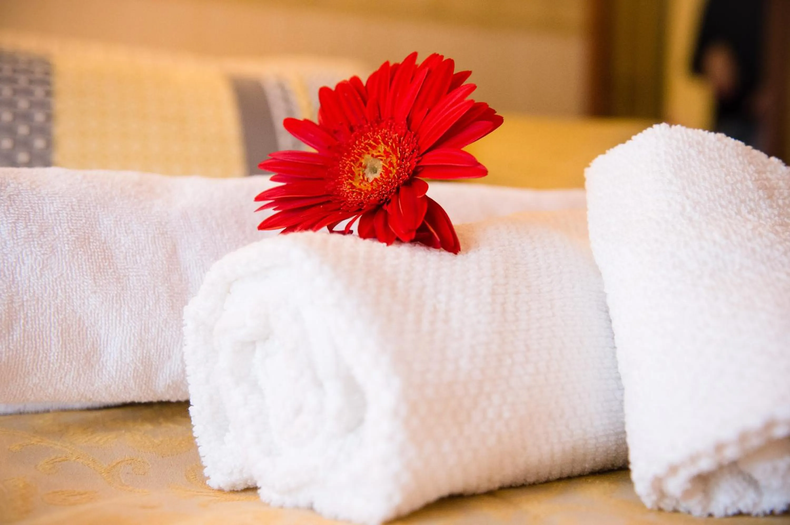 Decorative detail, Spa/Wellness in Hotel Amadeus