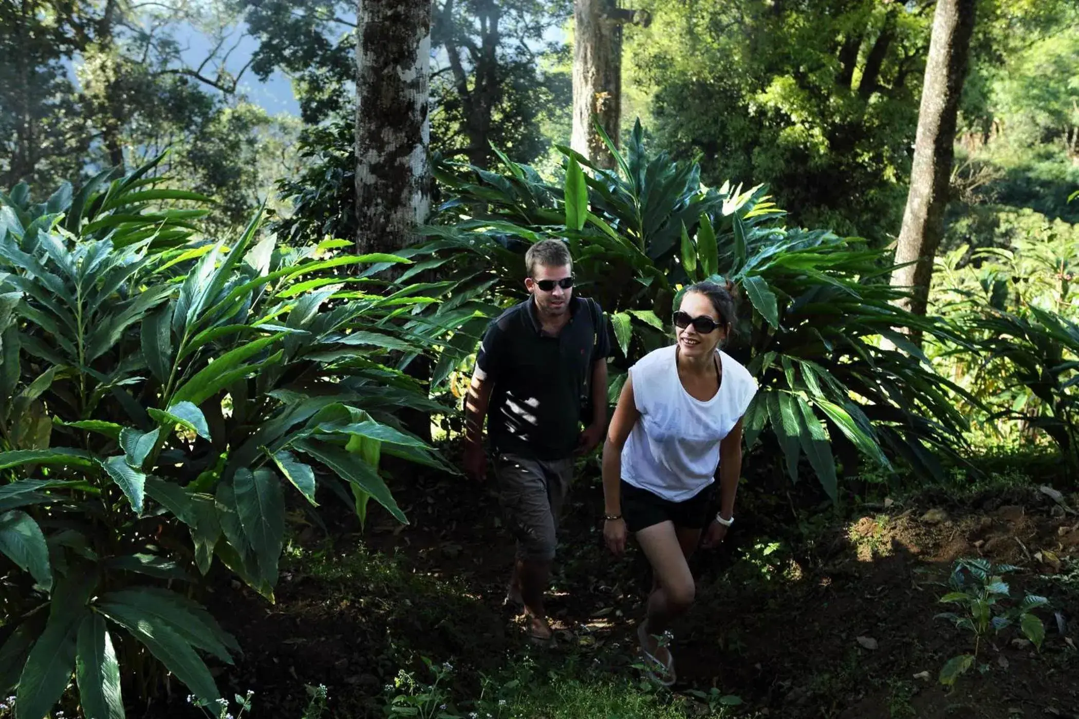 Eve Cottage in Olive Brook Eve Cottage in Olive Brook