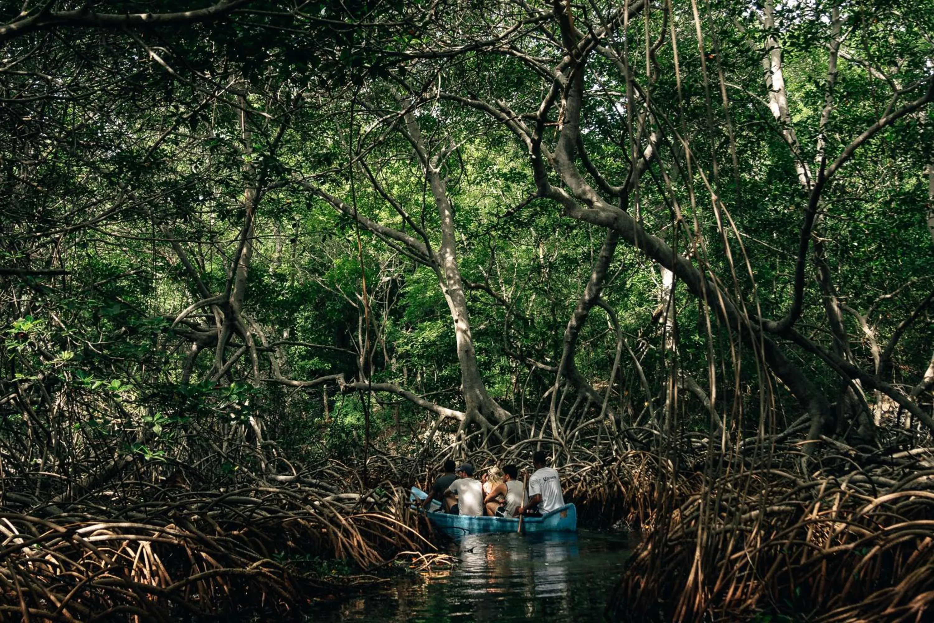 Natural landscape in Isla Corona