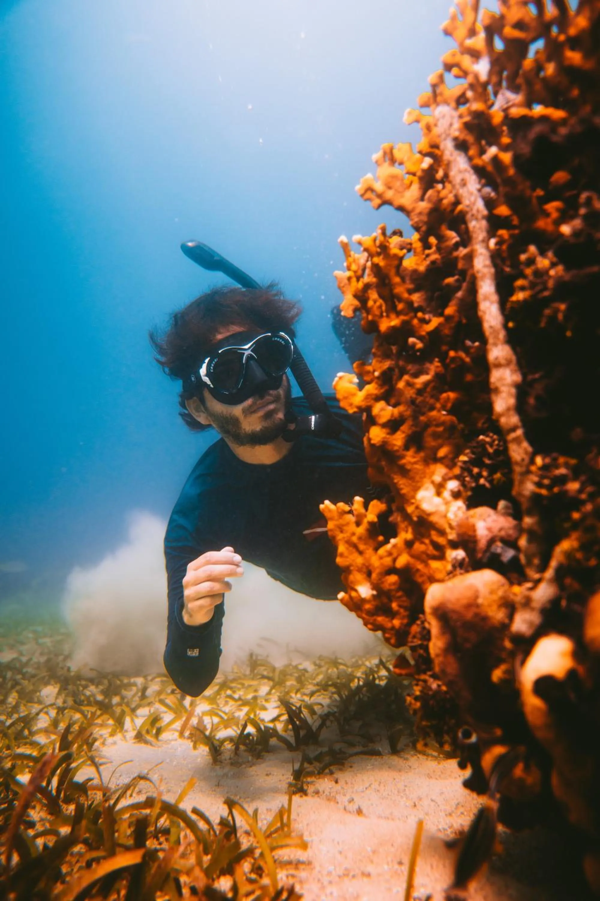 Snorkeling in Isla Corona