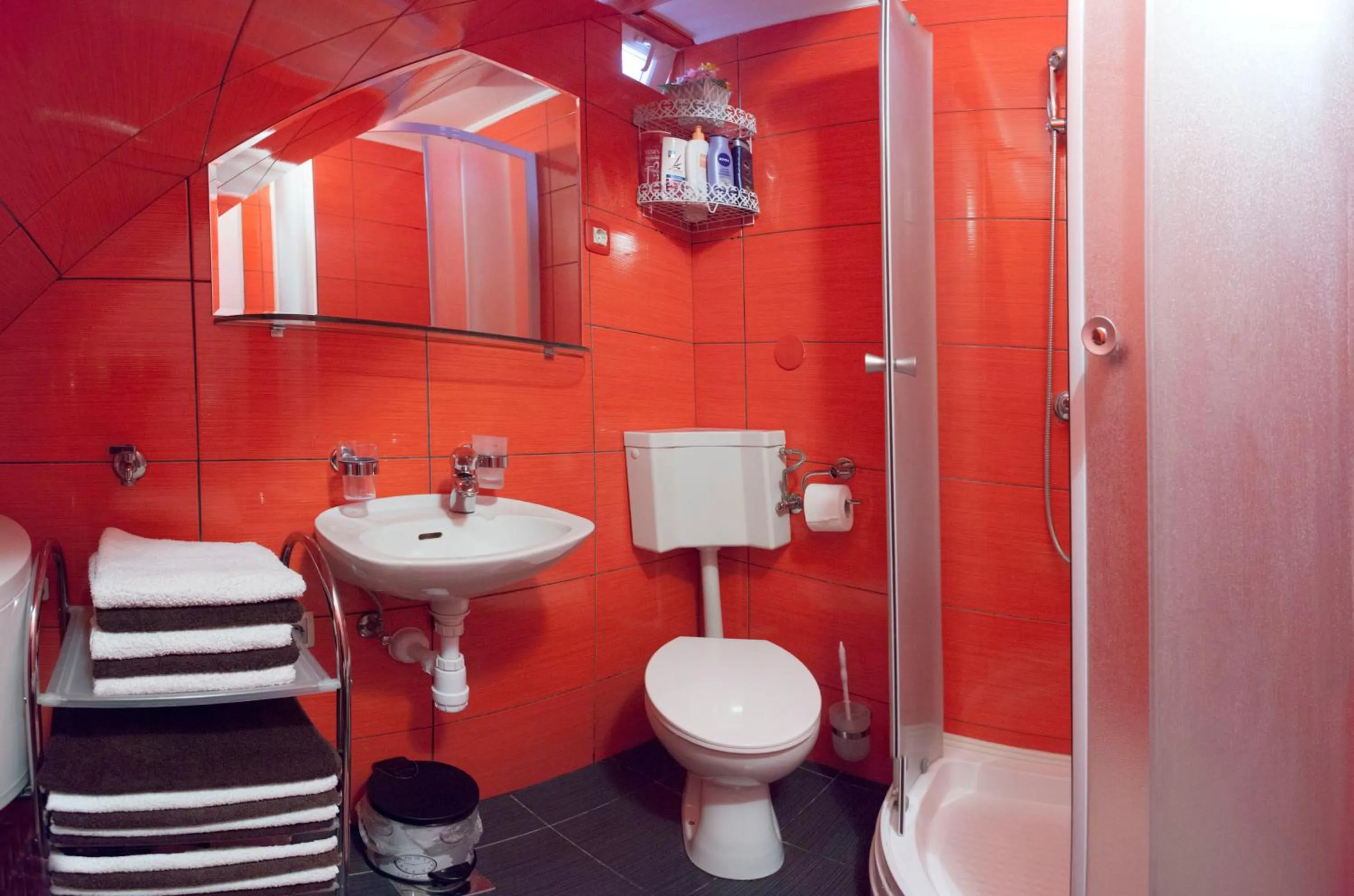 Shower in Apartment Welcome