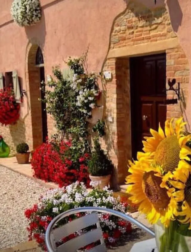 Casale delle Rondini