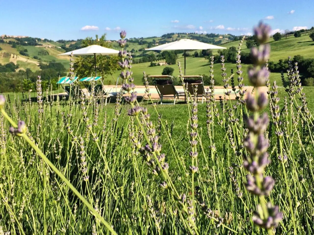 Casale delle Rondini