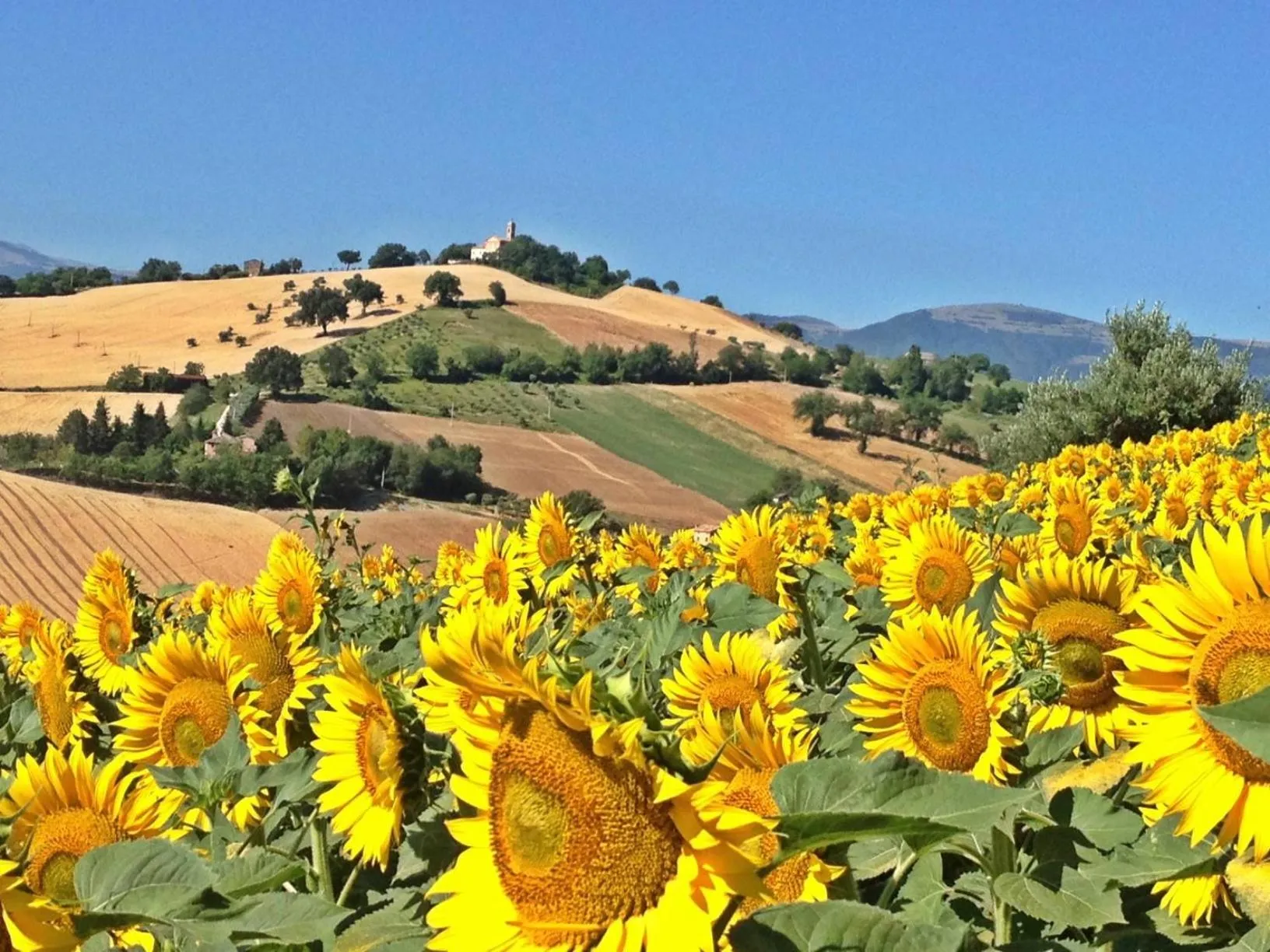 Casale delle Rondini