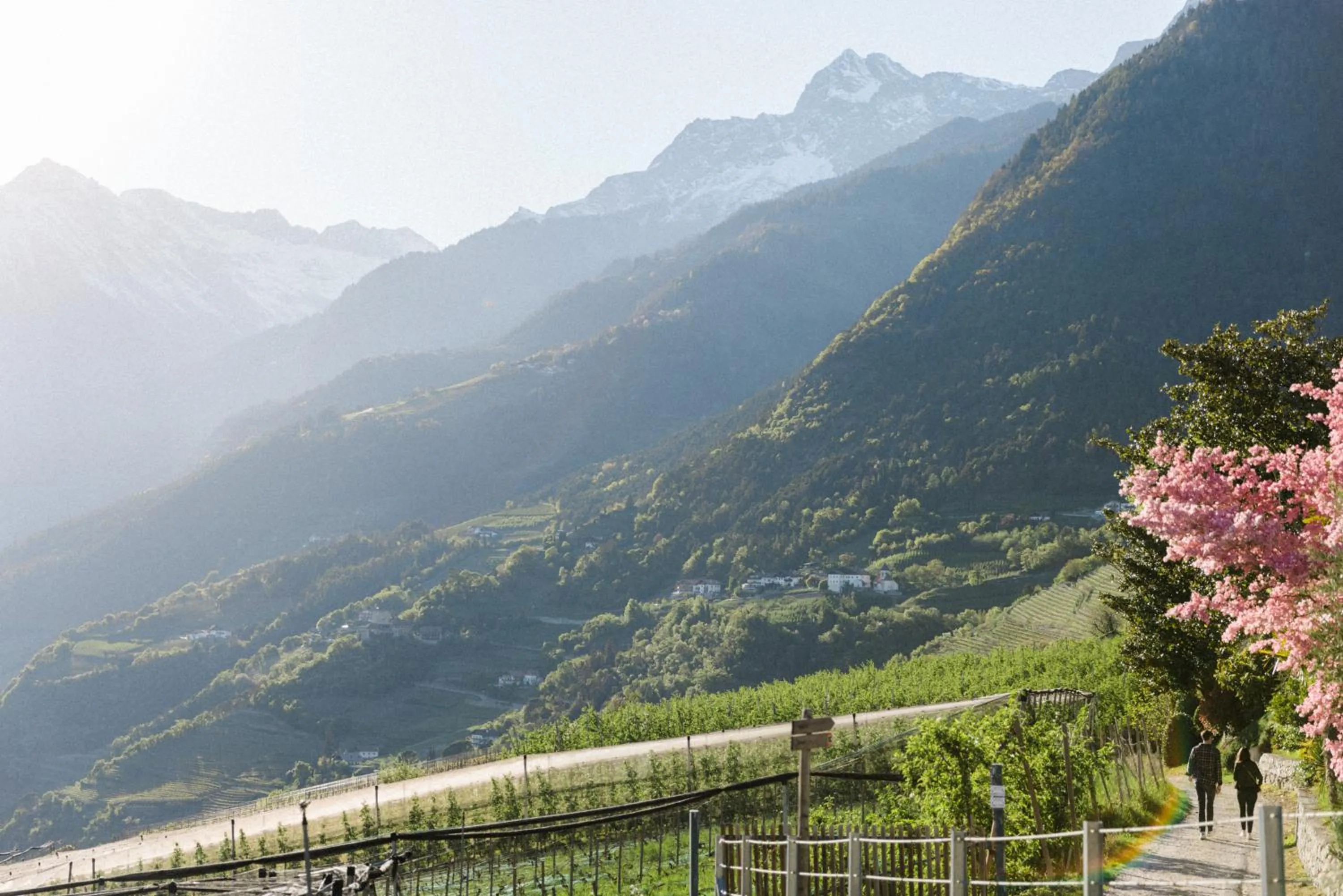 Natural landscape in Hotel Paradies