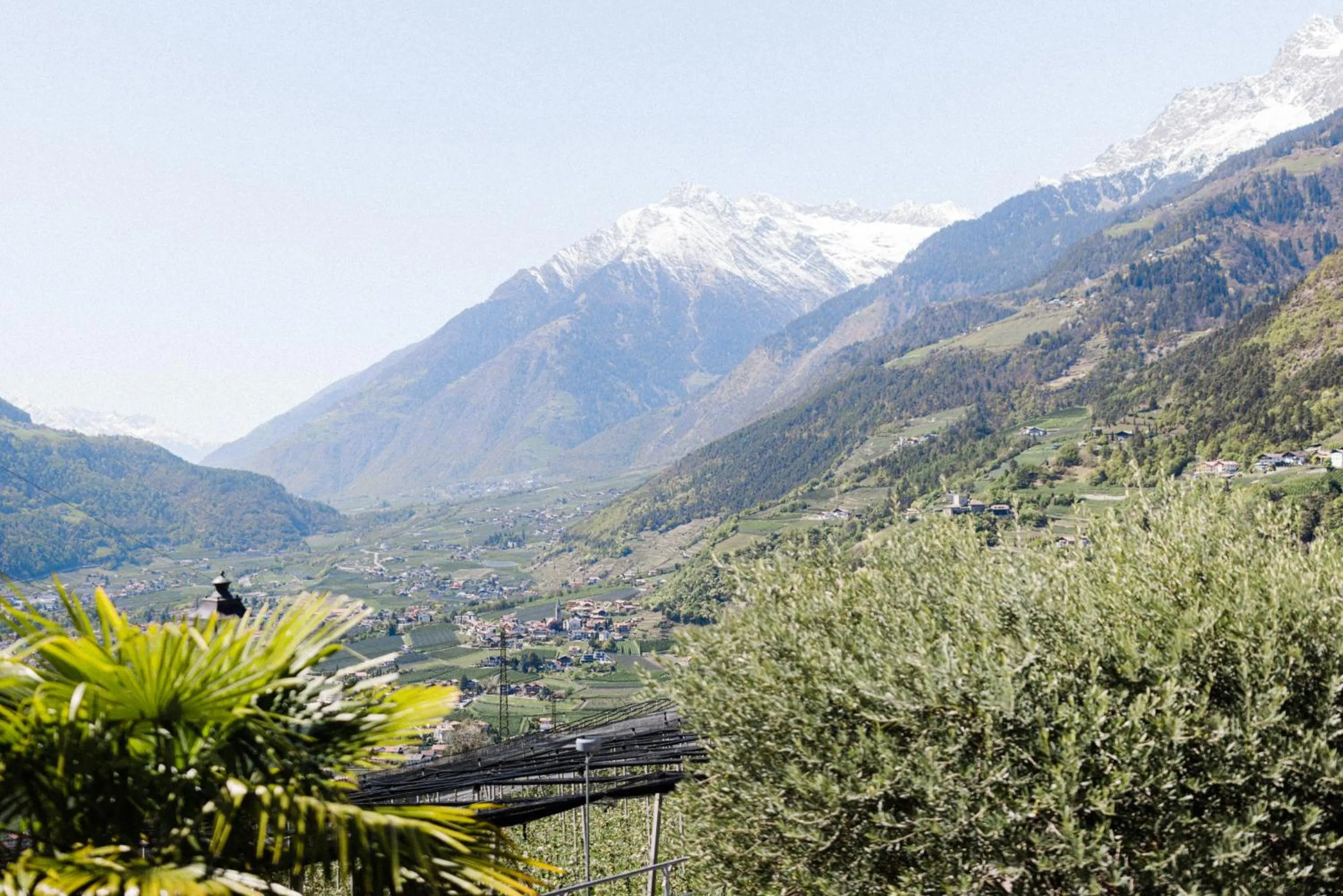 Natural landscape in Hotel Paradies