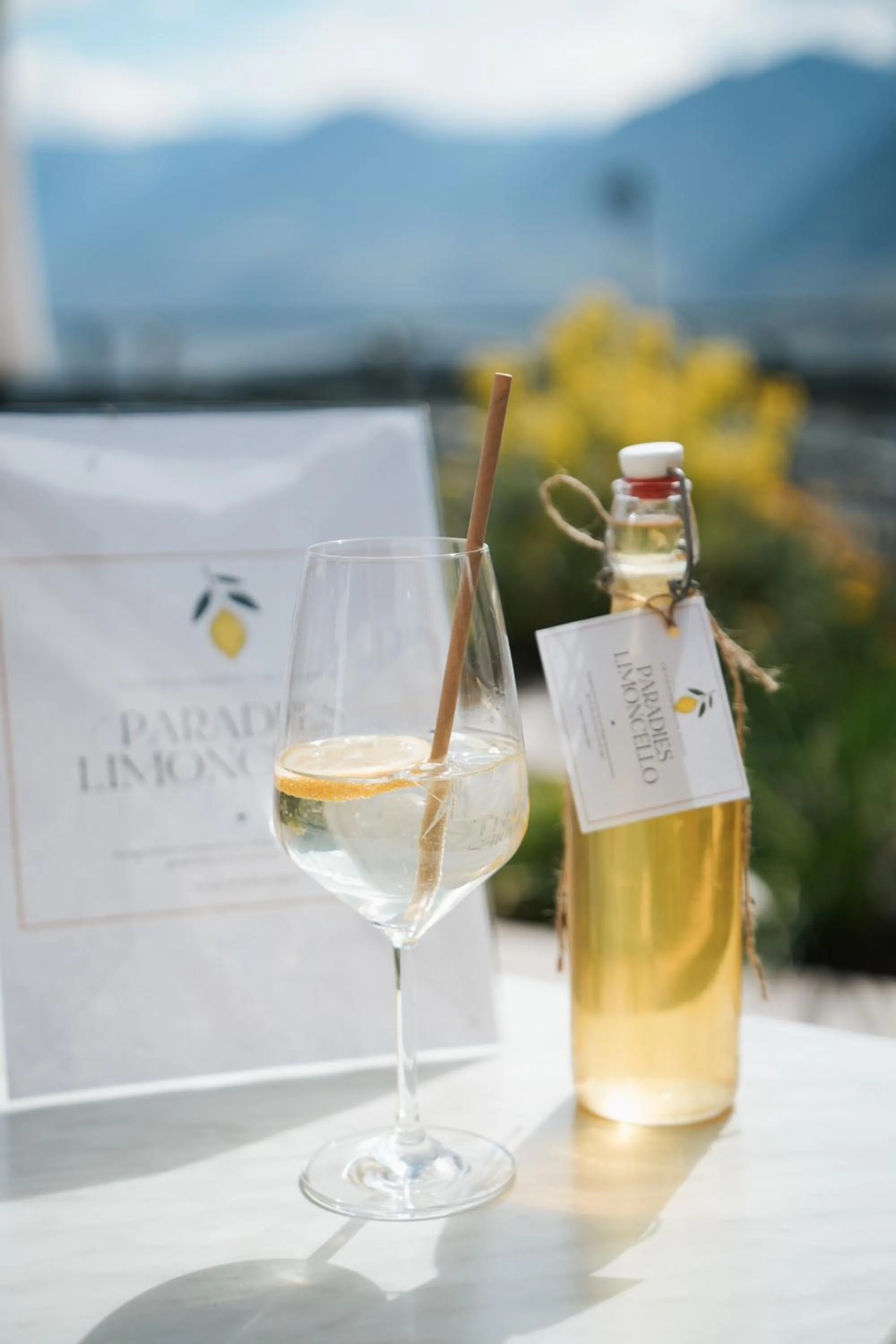 Alcoholic drinks in Hotel Paradies