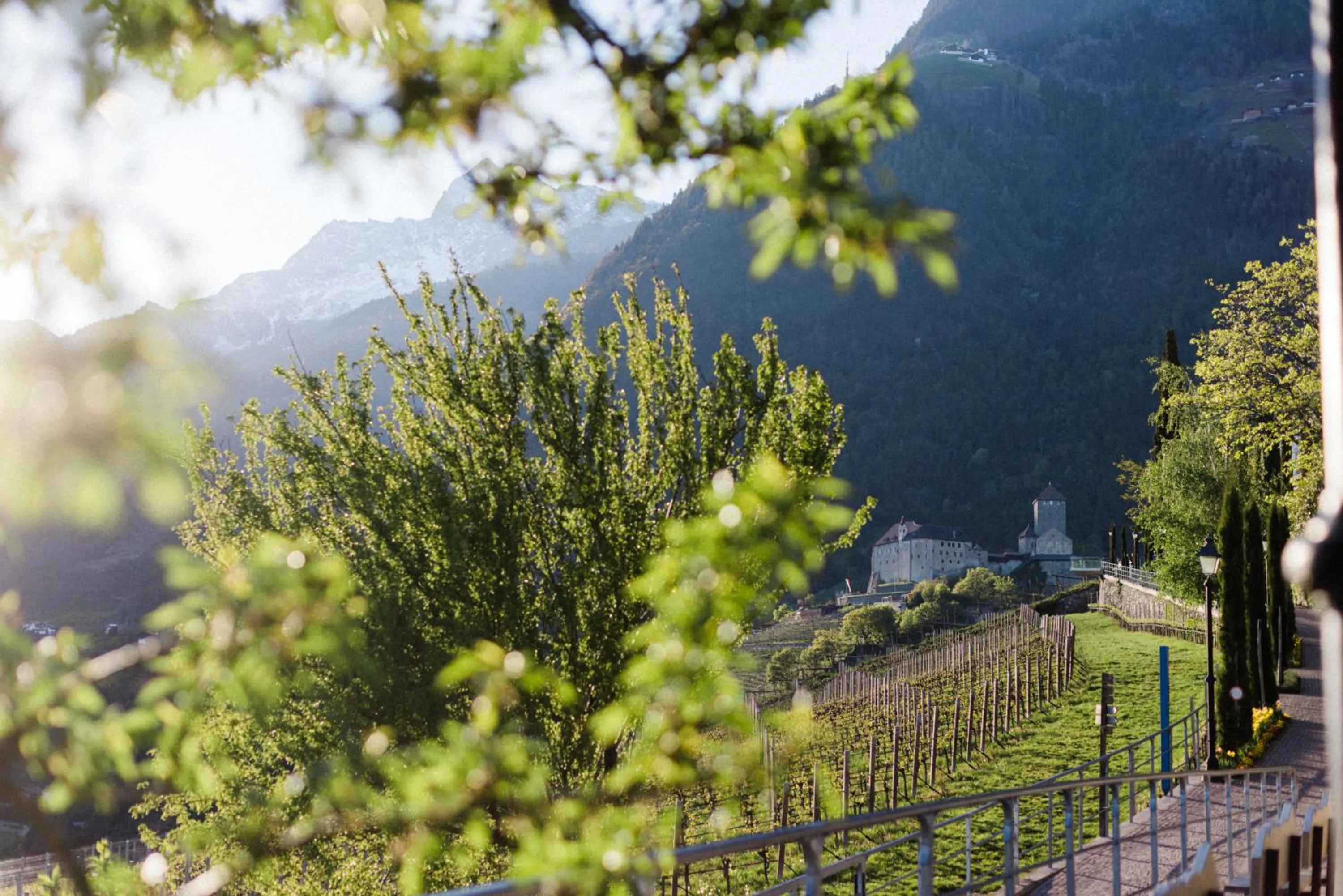 Natural landscape in Hotel Paradies