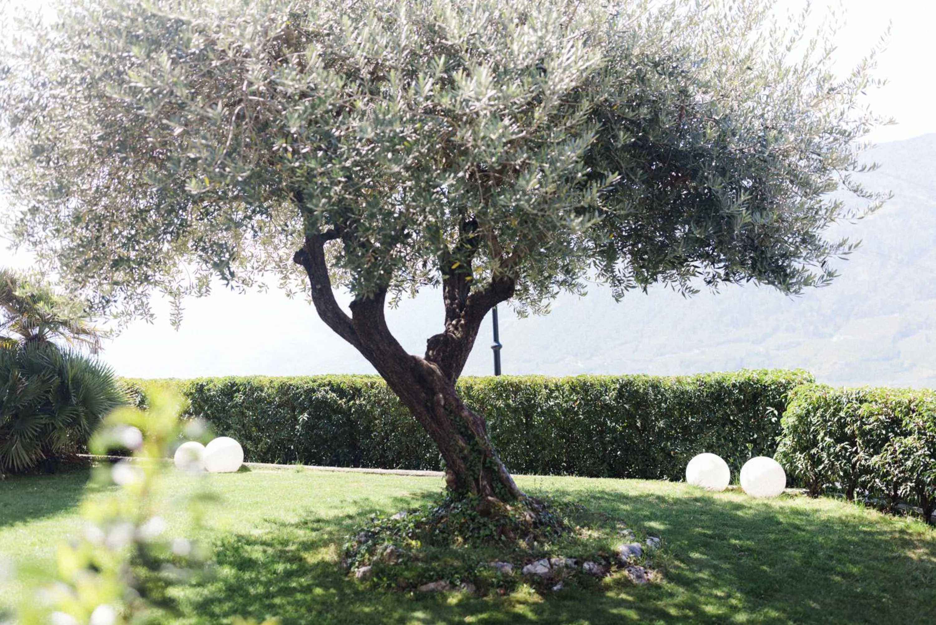 Garden in Hotel Paradies