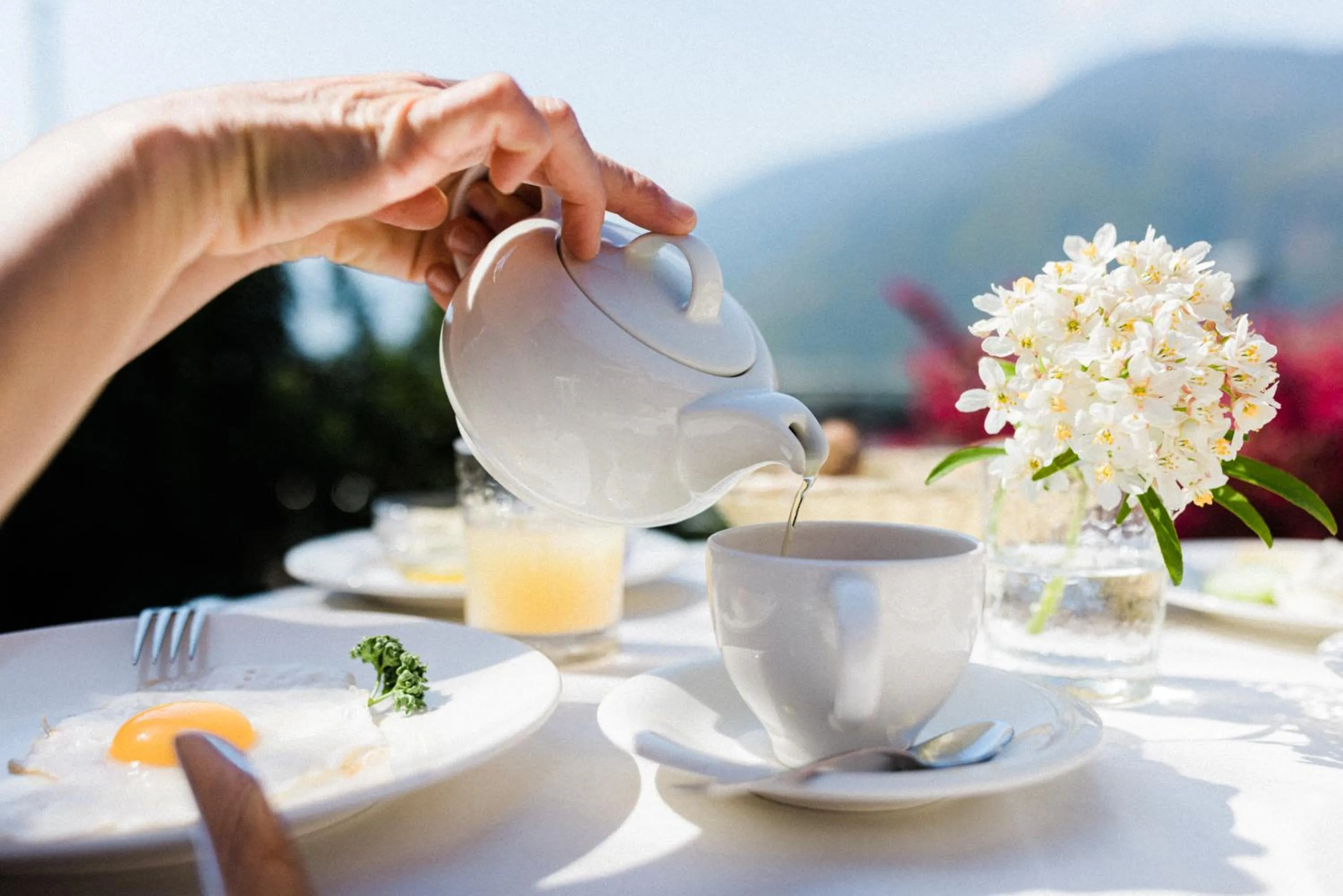 Food and drinks in Hotel Paradies