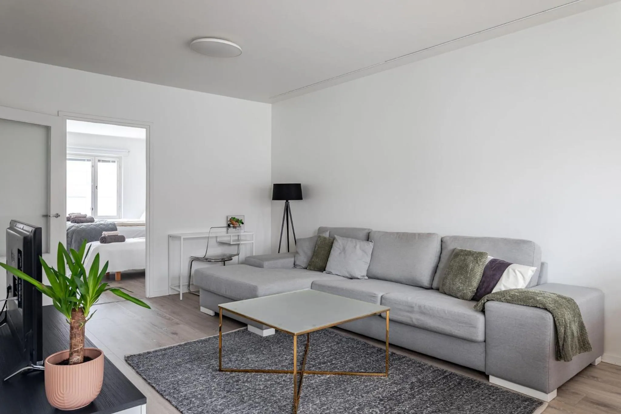 Living room in 2BR Apartment near Harbor and Center with Free Parking