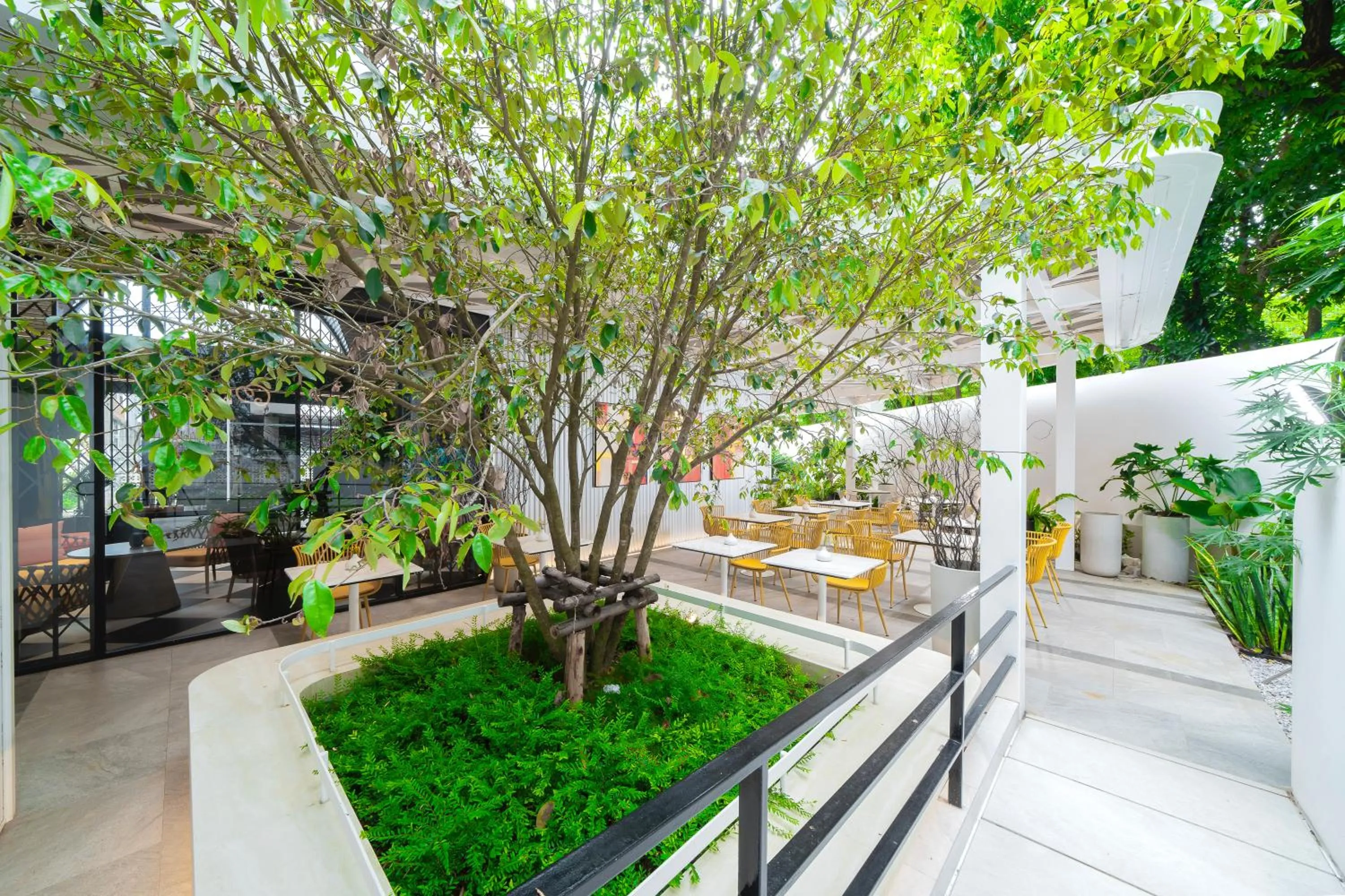 Natural landscape in Hotel Bangkokian