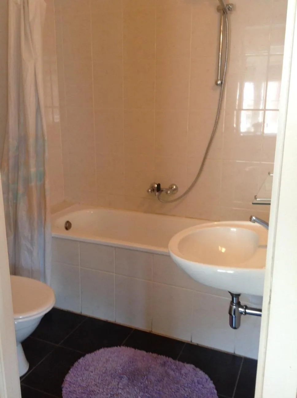 Shower in Apartment Descamps