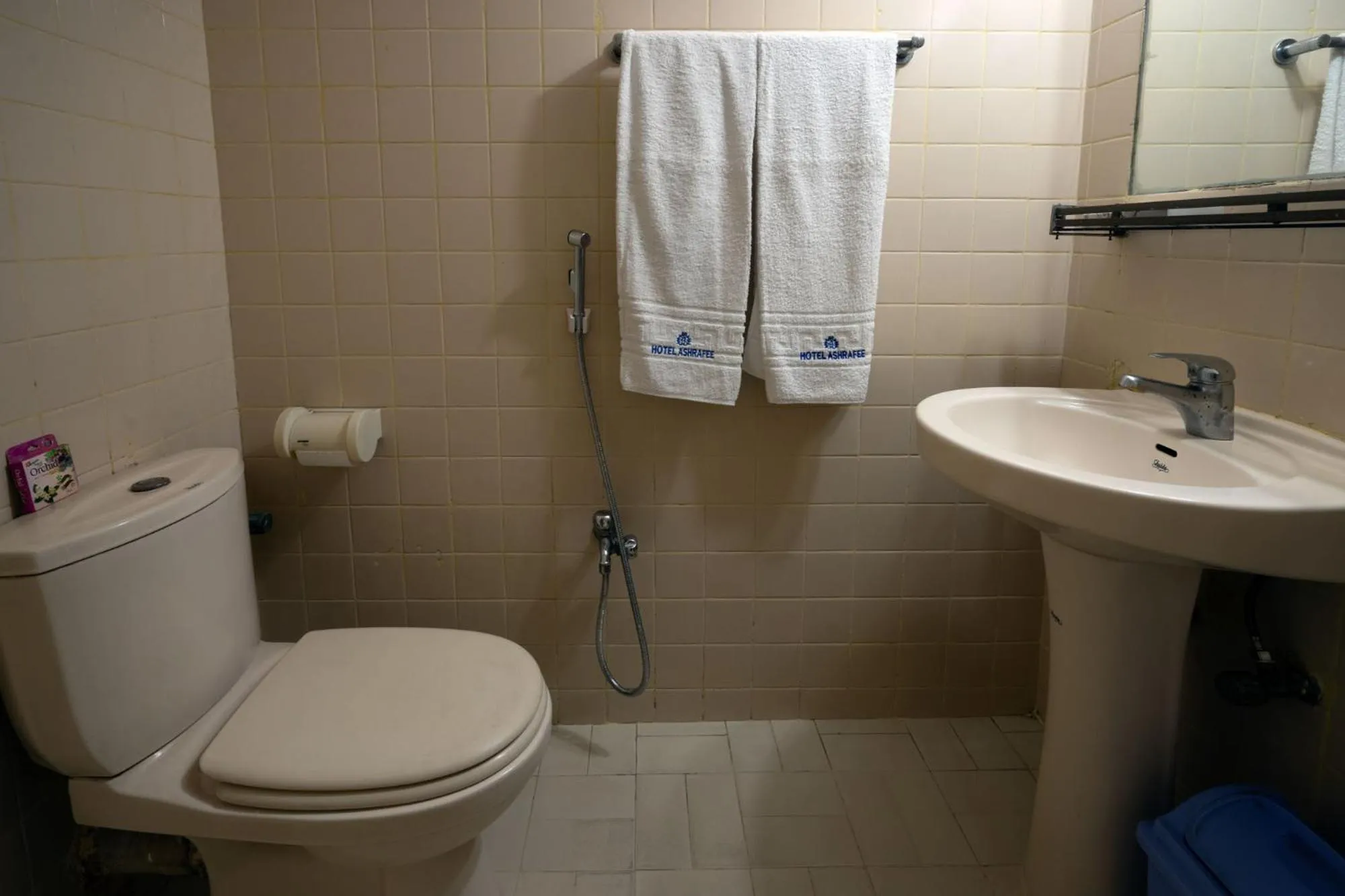 Bathroom in Hotel Ashrafee
