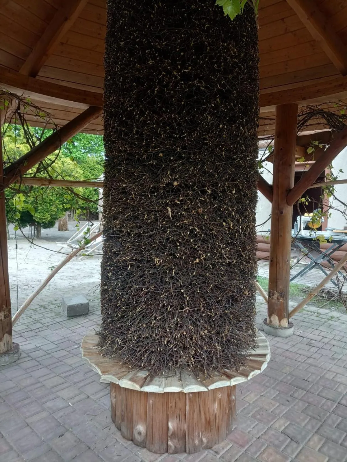 Sommer Residence Hotel&Spa